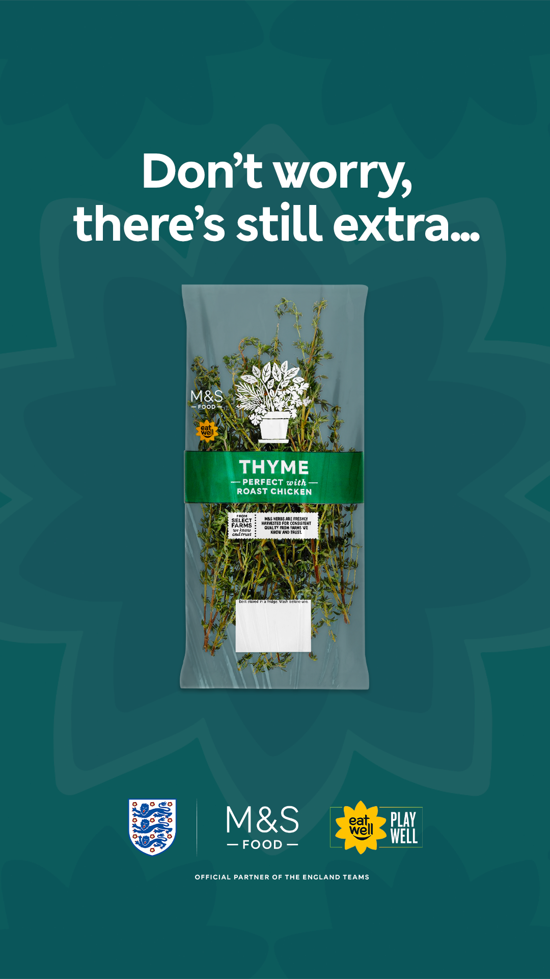 Thyme 916.png