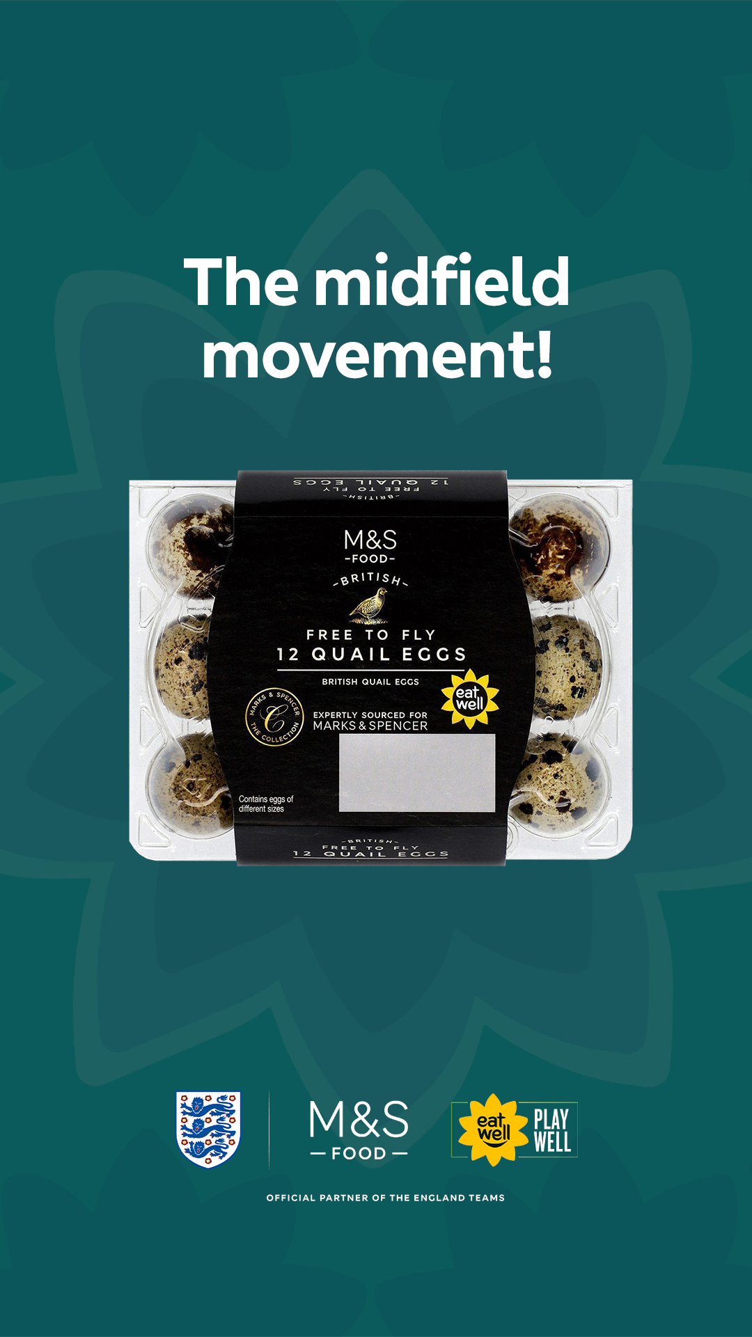 Quail Eggs 916.png