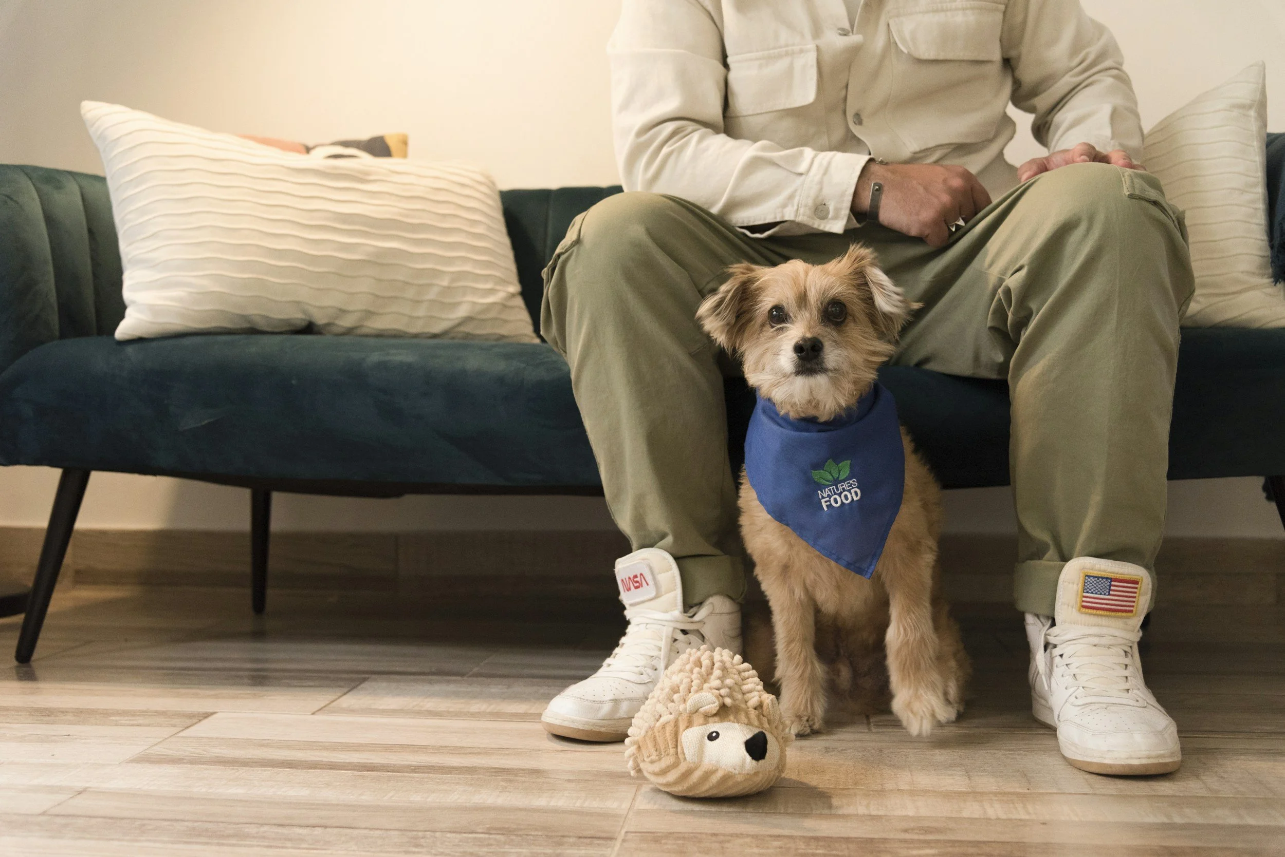 A small dog with tan fur and floppy ears sitting on the floor in front of a person sitting on a teal sofa. The dog is wearing a blue bandana with a green leaf logo and has a plush lion toy near its paws. The person is wearing beige cargo pants, white sneakers with American flags, and is sitting with legs apart. The sofa has white and beige pillows. The scene is indoors with wooden flooring and a plain light-colored wall.