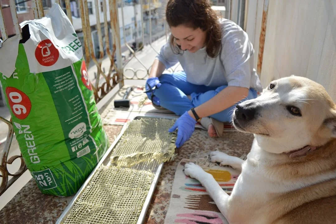 A woman with curly hair and a dog sitting on a balcony. The woman is wearing gloves and working with a mesh screen, possibly preparing it for planting seeds or gardening. There is a large bag of potting soil or fertilizer nearby.