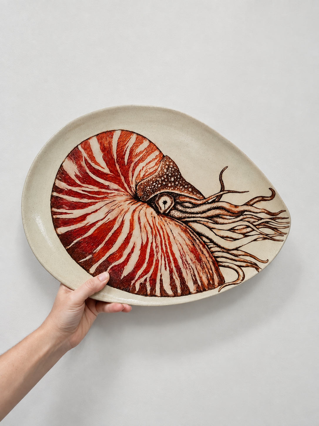 Hand holding a decorative oval ceramic plate featuring a detailed illustration of a nautilus shell with red, white, and brown patterns.