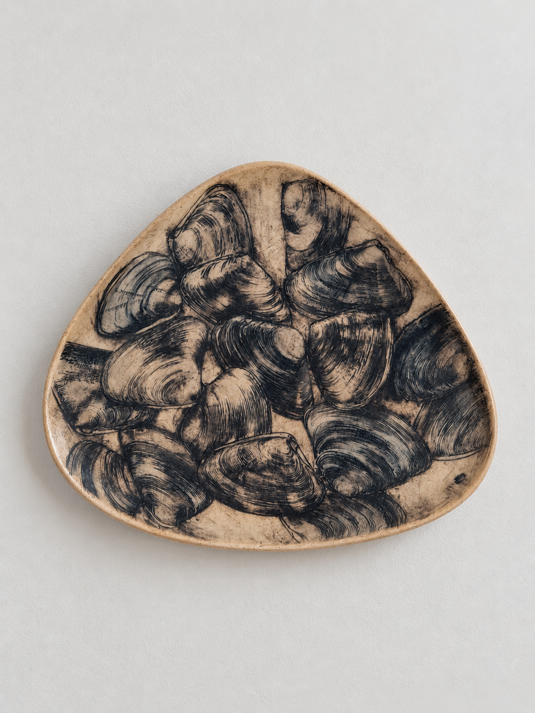 A ceramic plate with a black shell pattern on a light background.