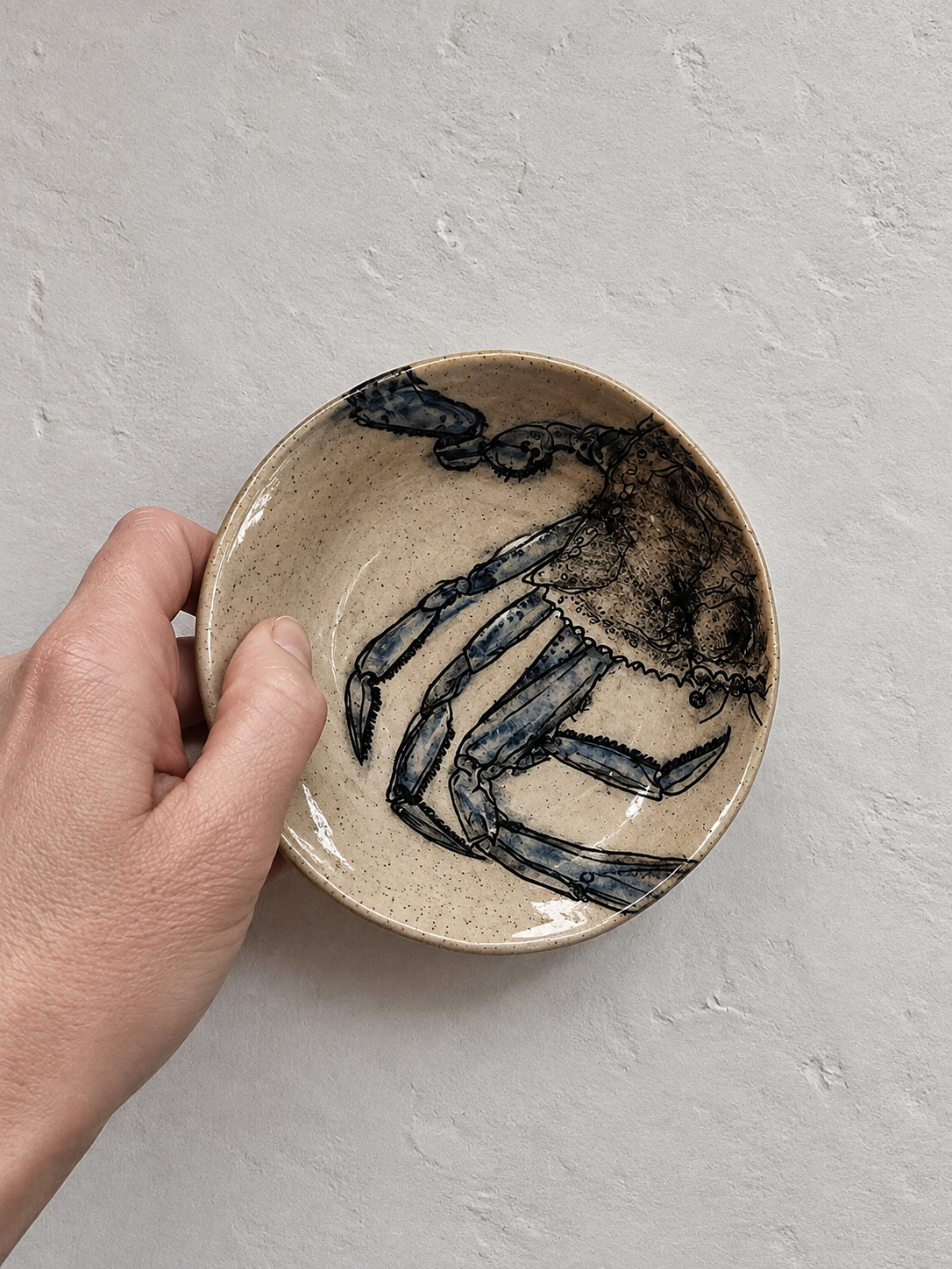 Small ceramic bowl with a hand-painted illustration of a crab in black and blue on a striped beige background. A person is holding the bowl over a light gray textured surface.