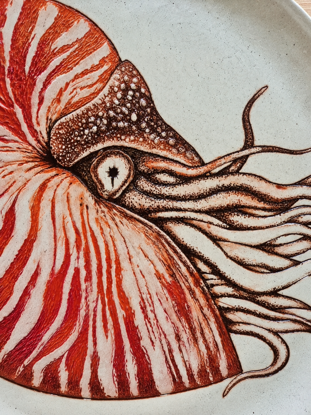 A detailed illustration of a nautilus with reddish-brown and cream-colored patterns on its body and tentacles, set against a light background.