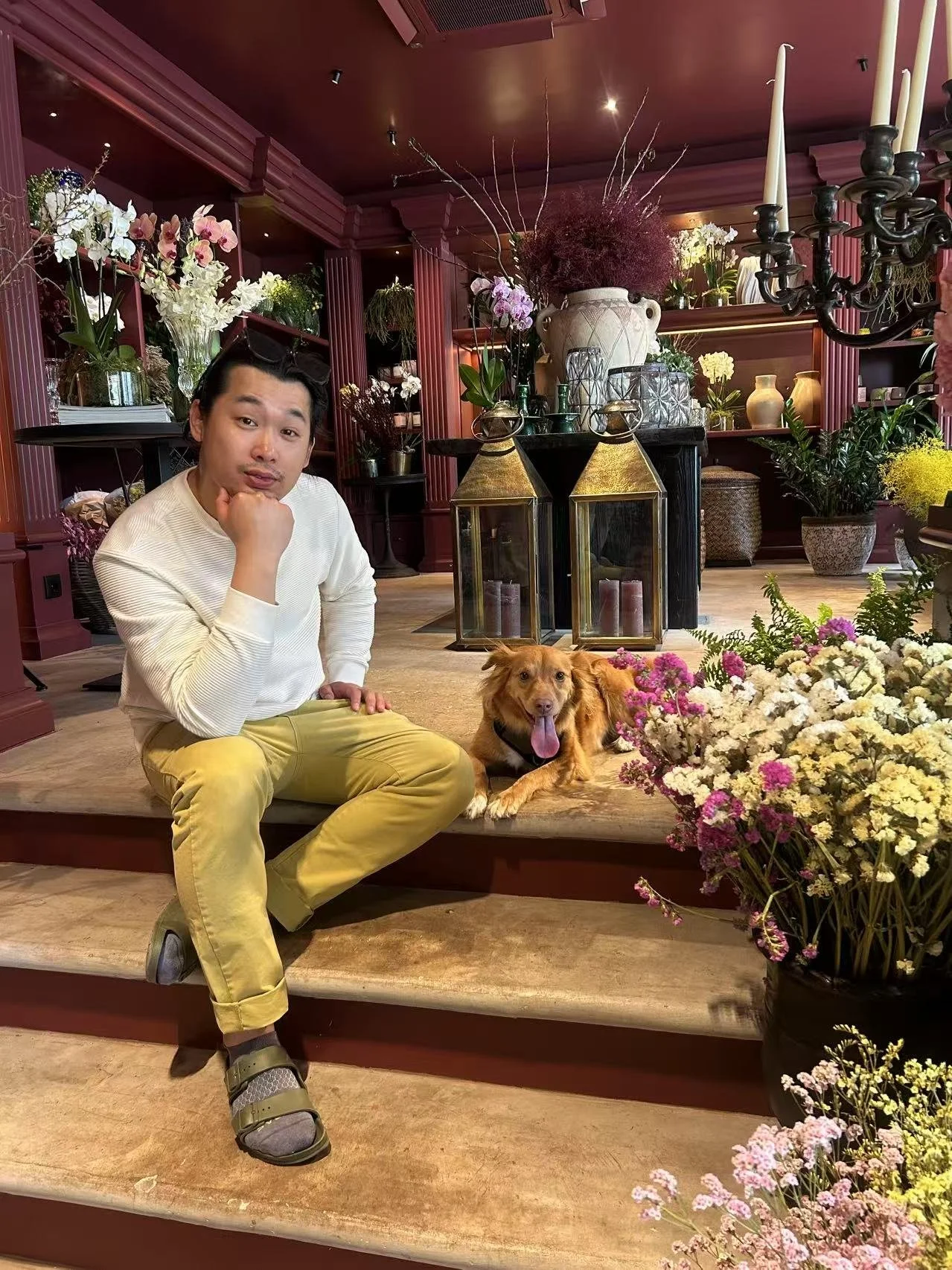 A young man with dark hair and a mustache, wearing a cream sweater and yellow pants, is sitting on wooden stairs next to a golden retriever dog with its tongue out. The setting is an indoor space decorated with various flowers, vases, and lanterns, and a large black chandelier hangs from the ceiling.