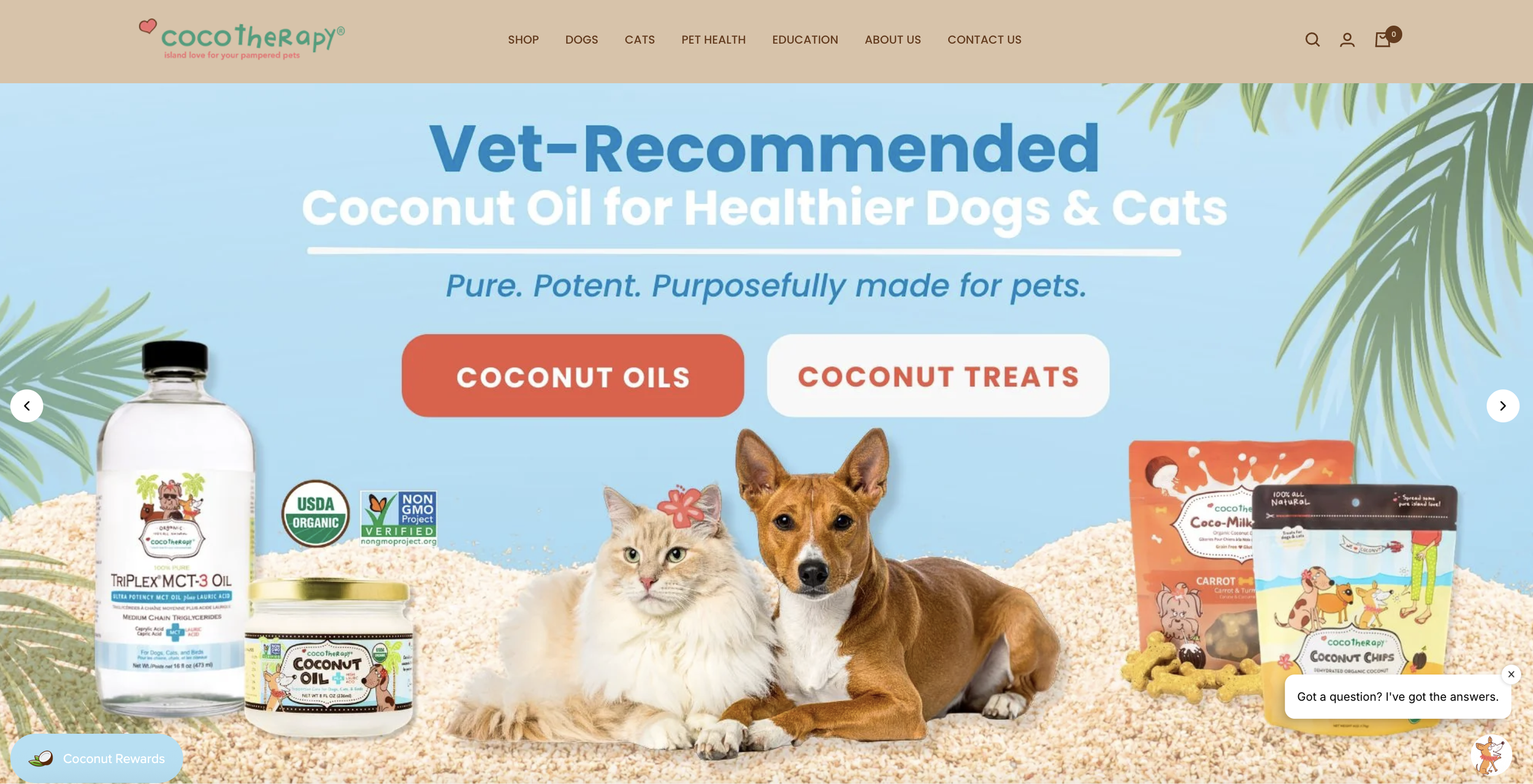 Homepage of CocoTherapy featuring coconut oil products for dogs and cats, with images of a cat and a dog, palm leaves, and pet treats.