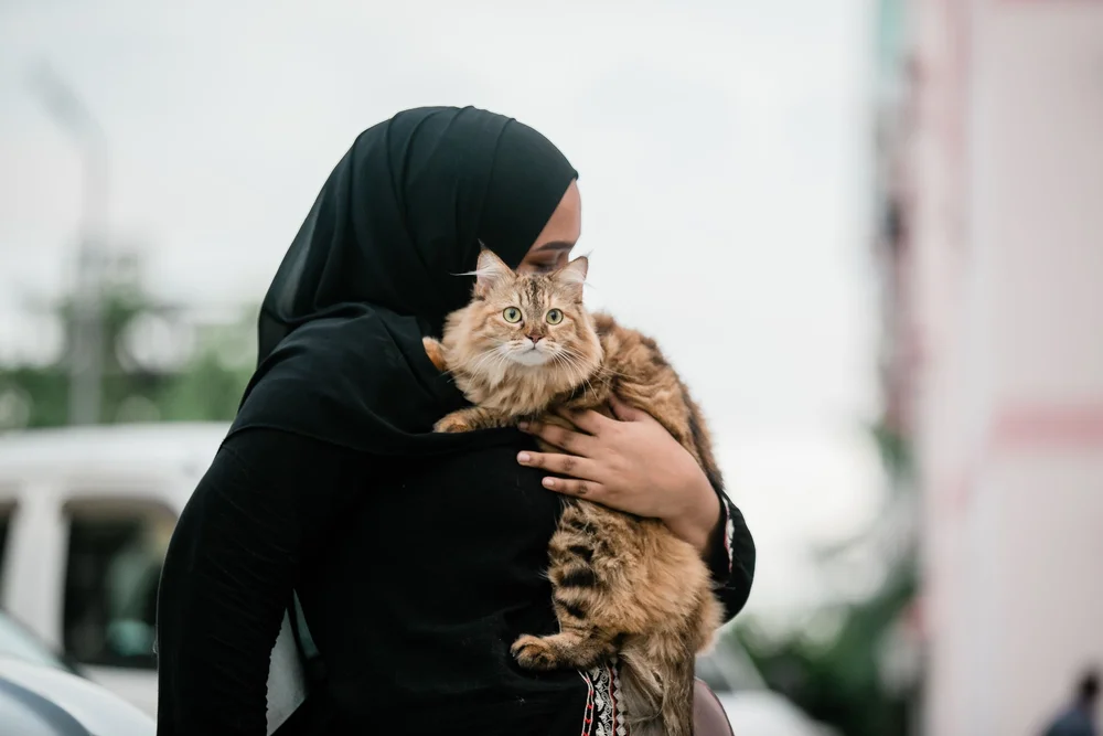 A person holding a long-haired ginger cat outdoors.