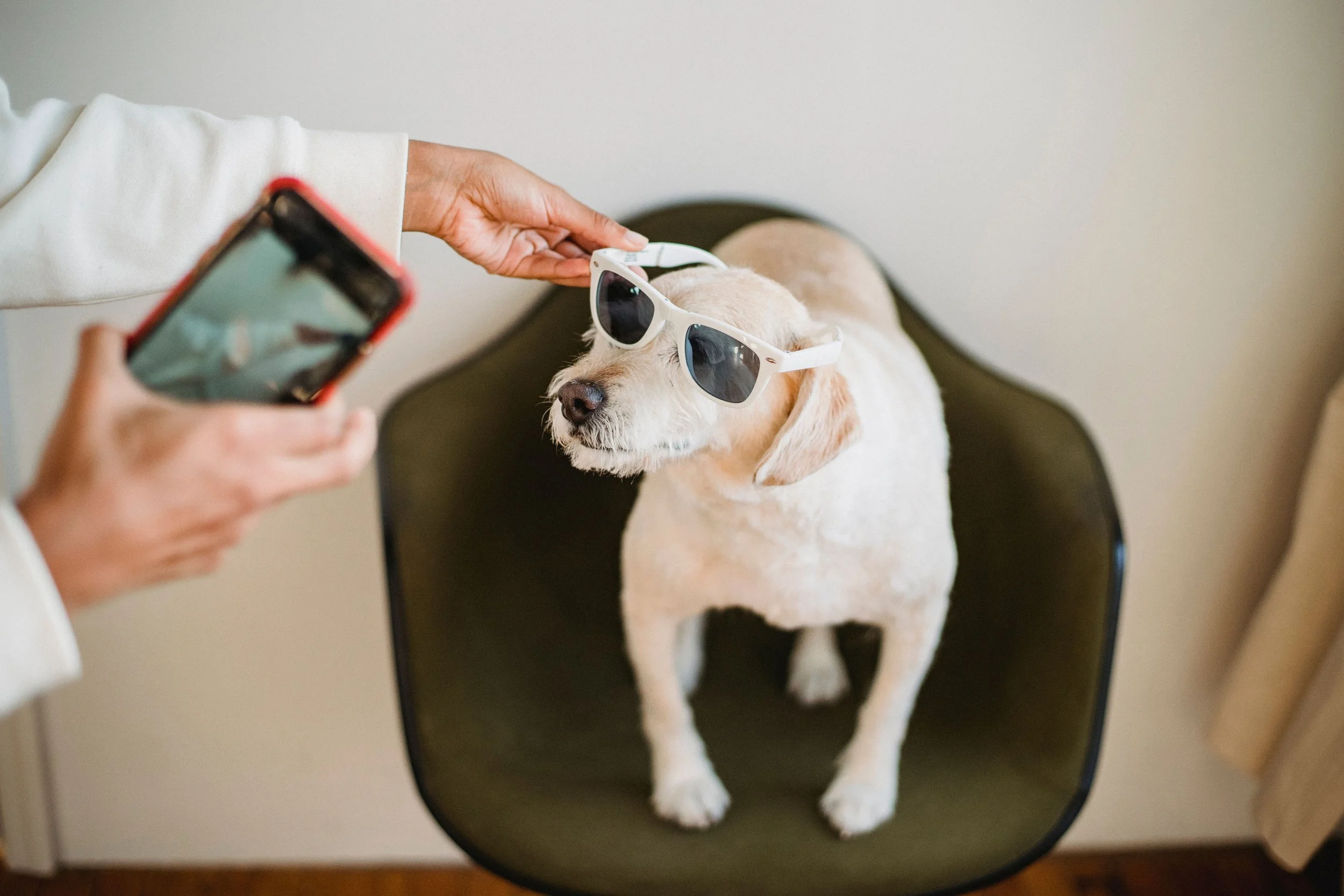 15 Social Media Content Ideas for Veterinary Clinics