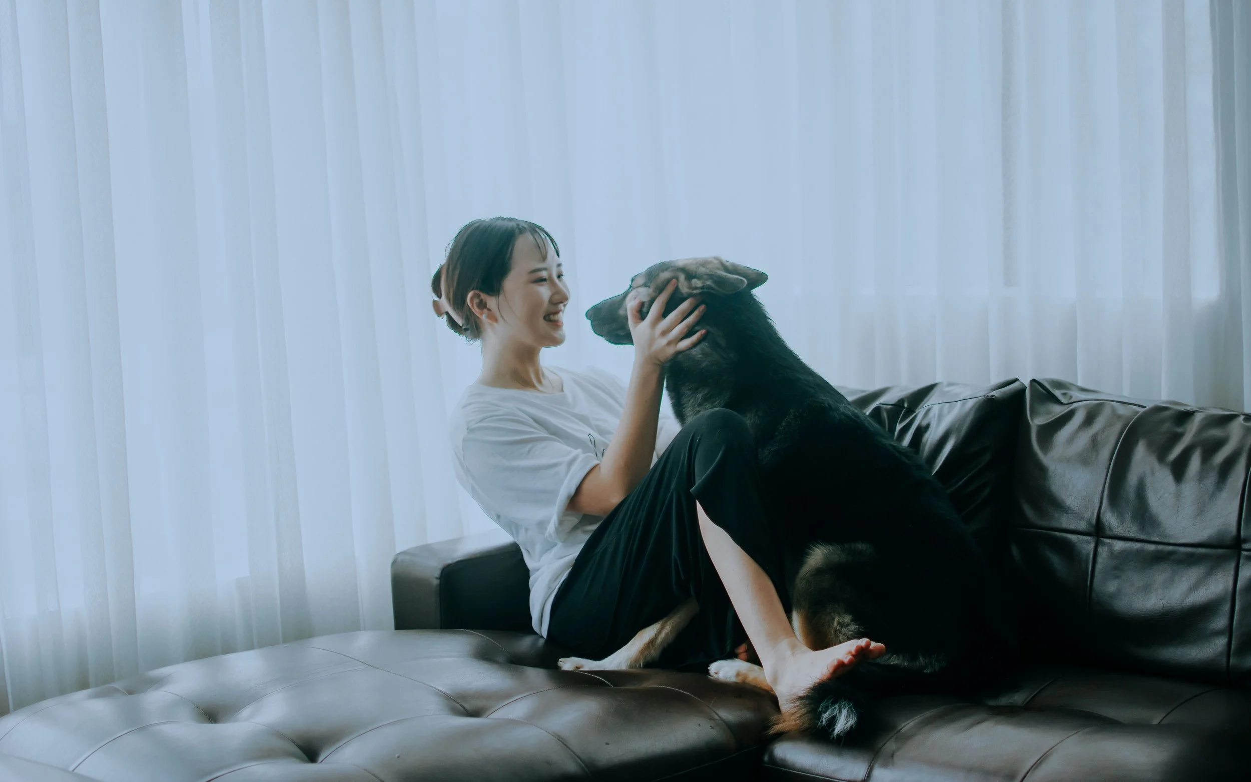How to Write Veterinary Service Pages That Help Pet Owners Book