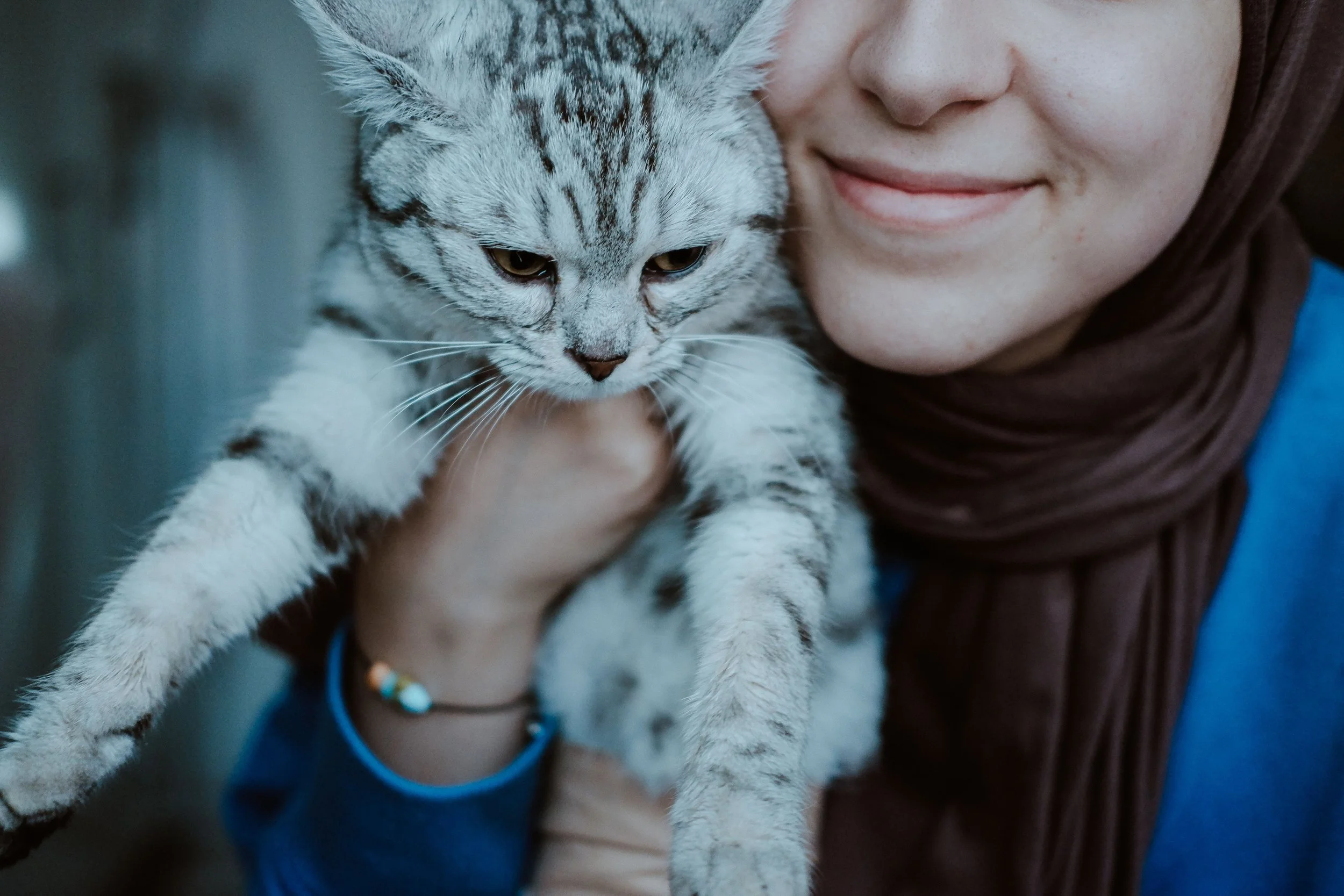 Which Pages Does Your Veterinary Website Need for SEO?