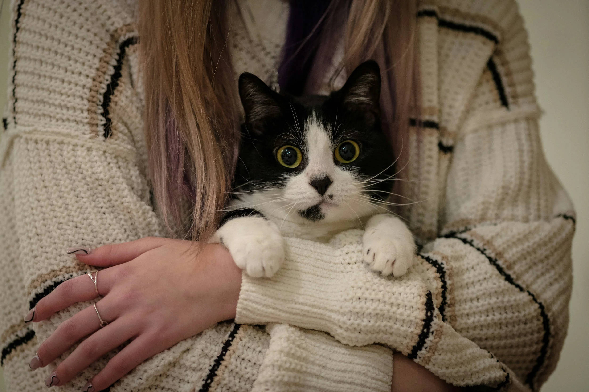 A person wearing a beige and black patterned sweater holding a black and white cat with yellow eyes.
