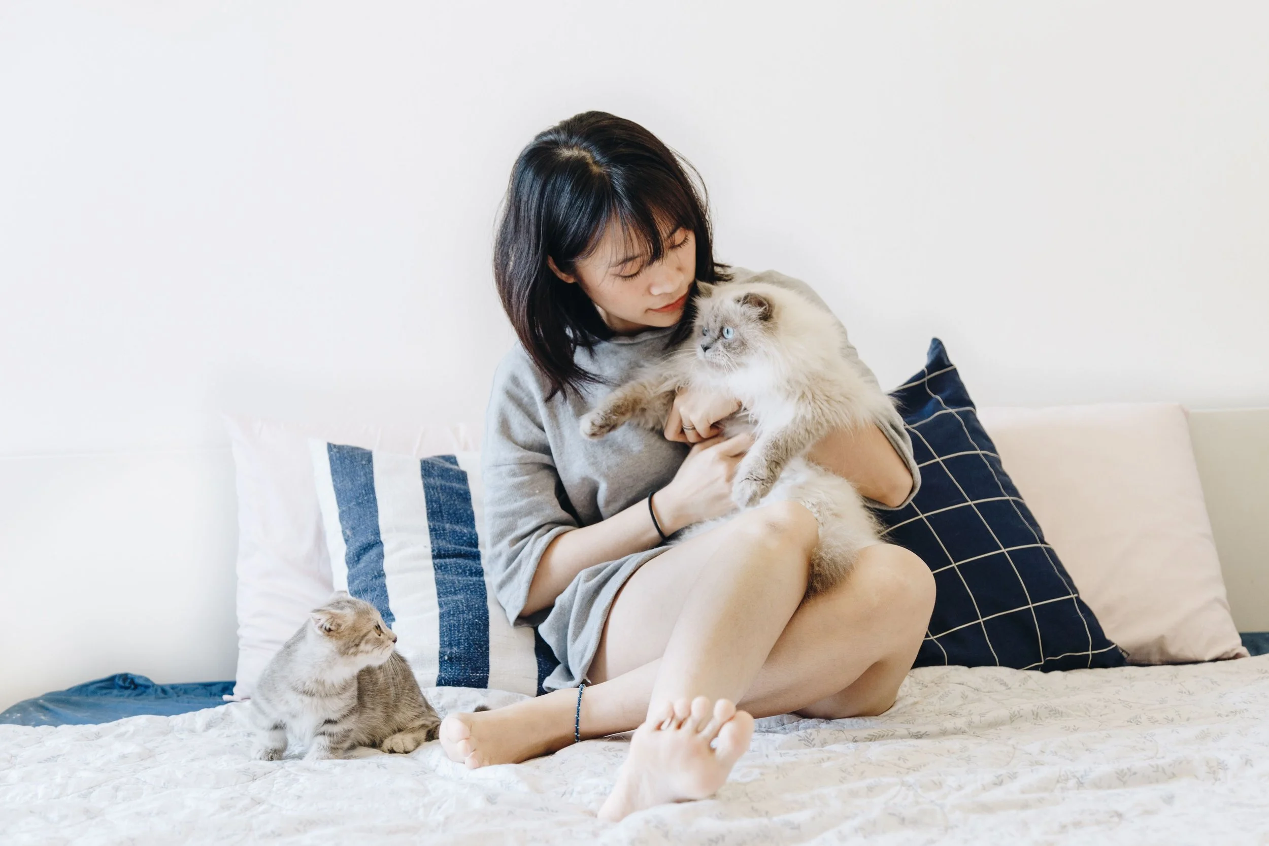 AEO &amp; GEO for Veterinary Clinics 2026 (How to Get Found in AI Search)