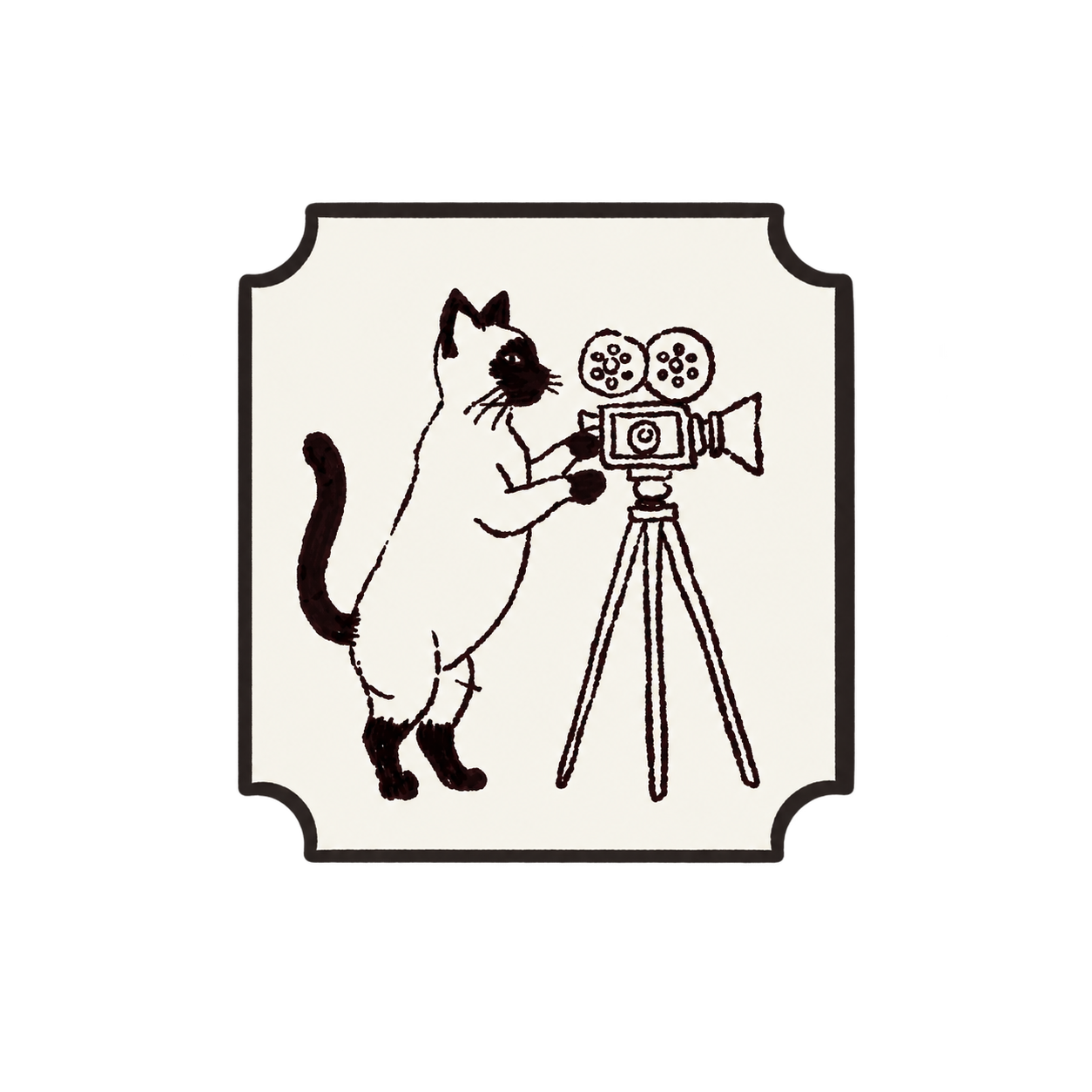 Pet Health Creative