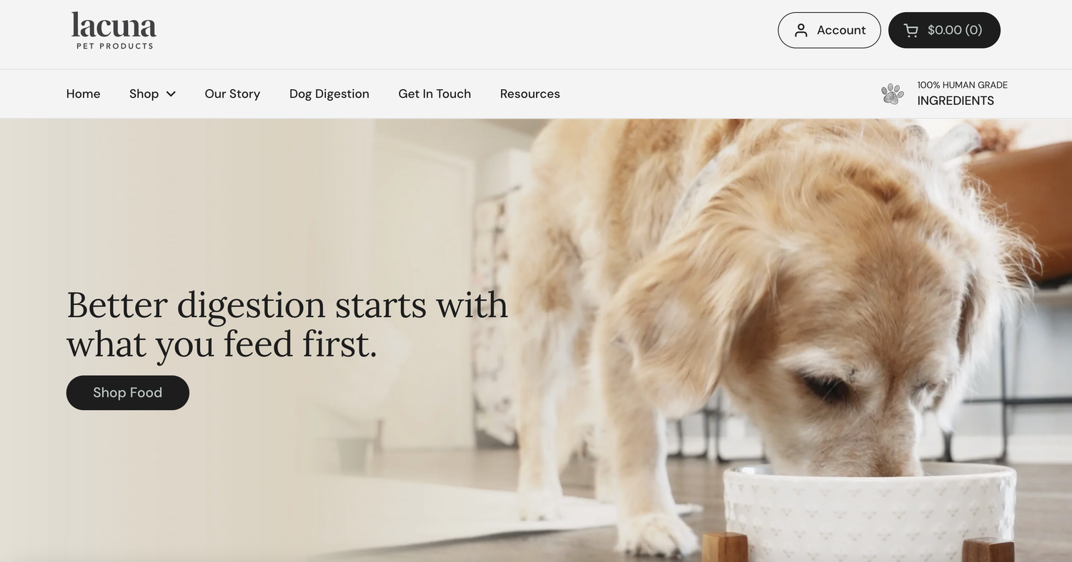Lacuna Pet Products website featuring a dog eating from a bowl