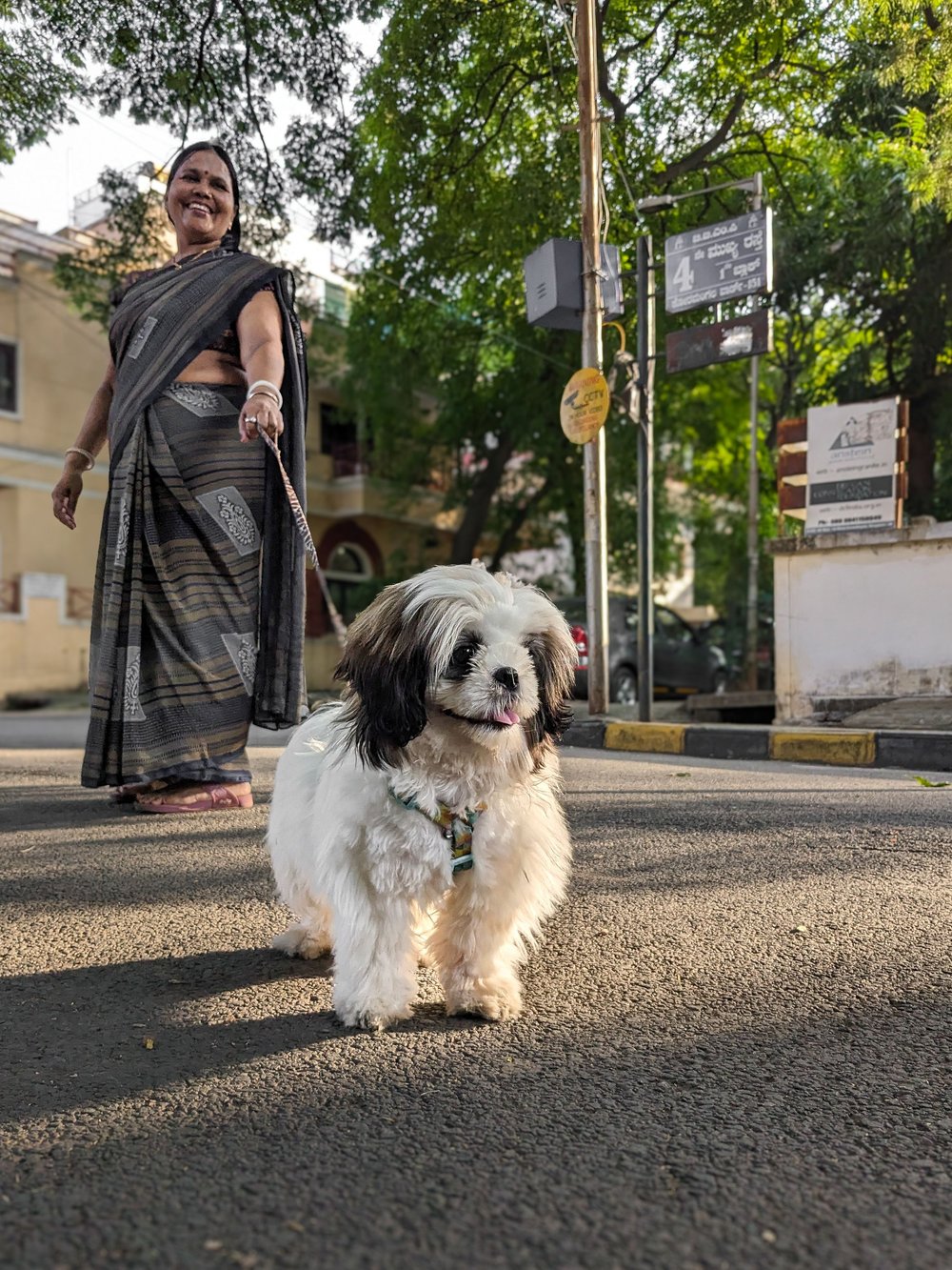 A woman walking a small long-haired dog along a leafy street.