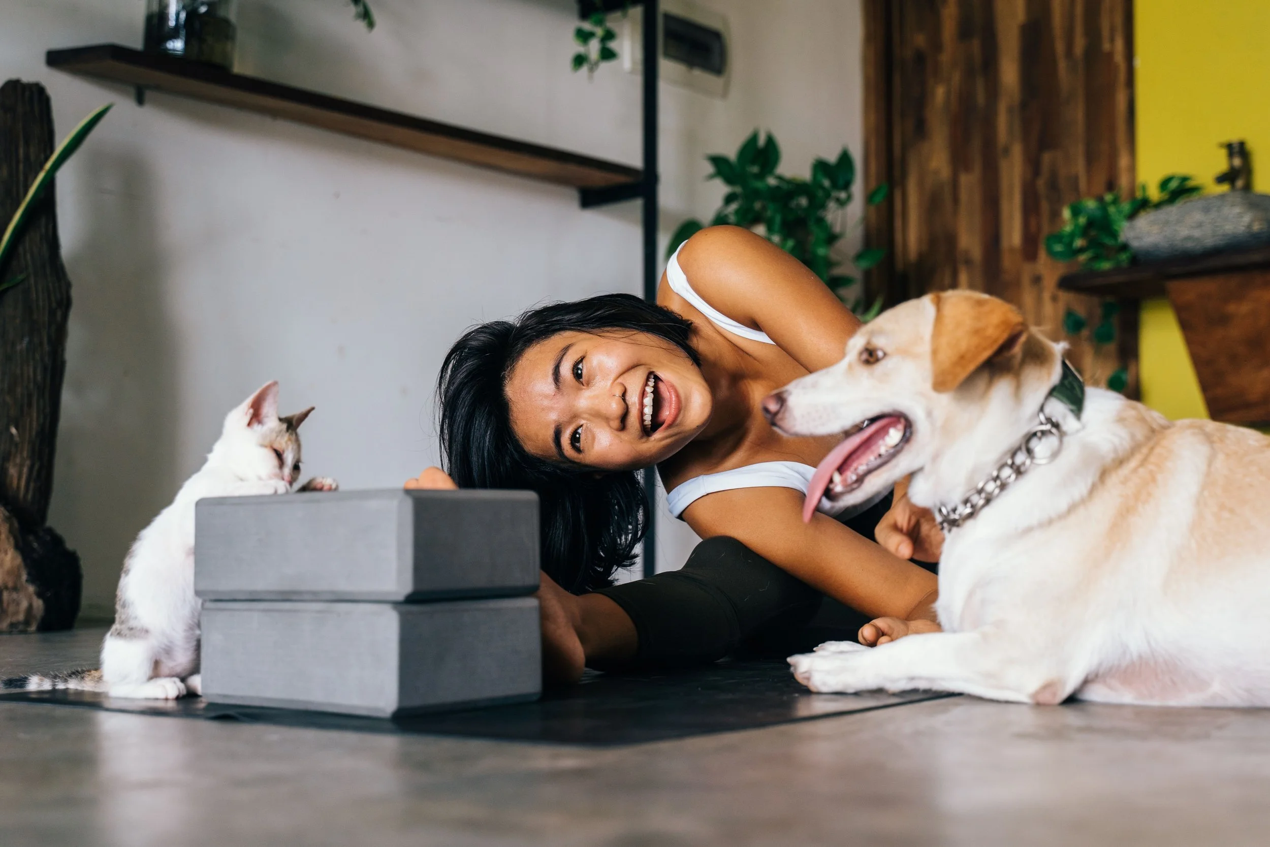 Woman relaxing at home with a dog and cat