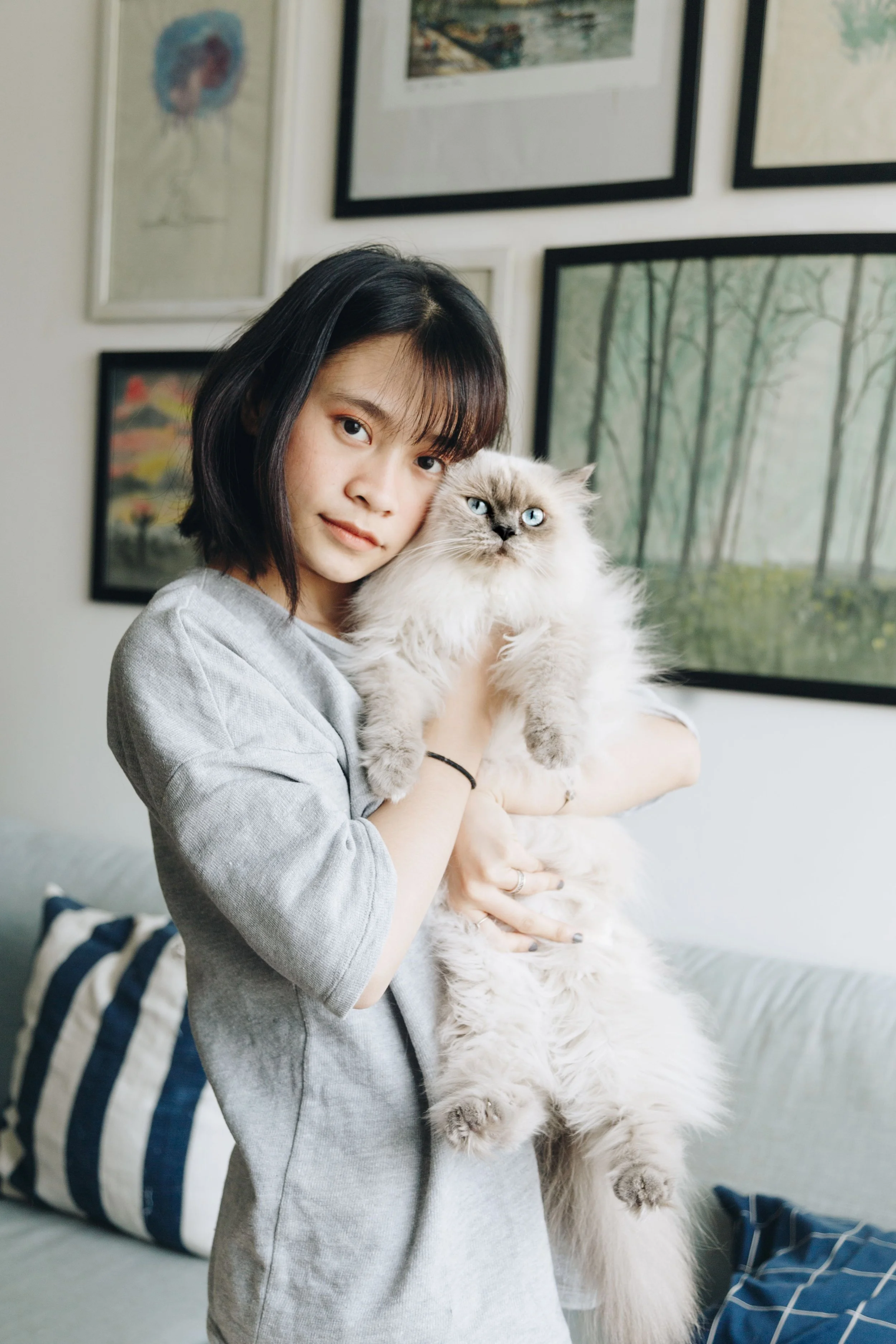 Person holding a fluffy cat at home