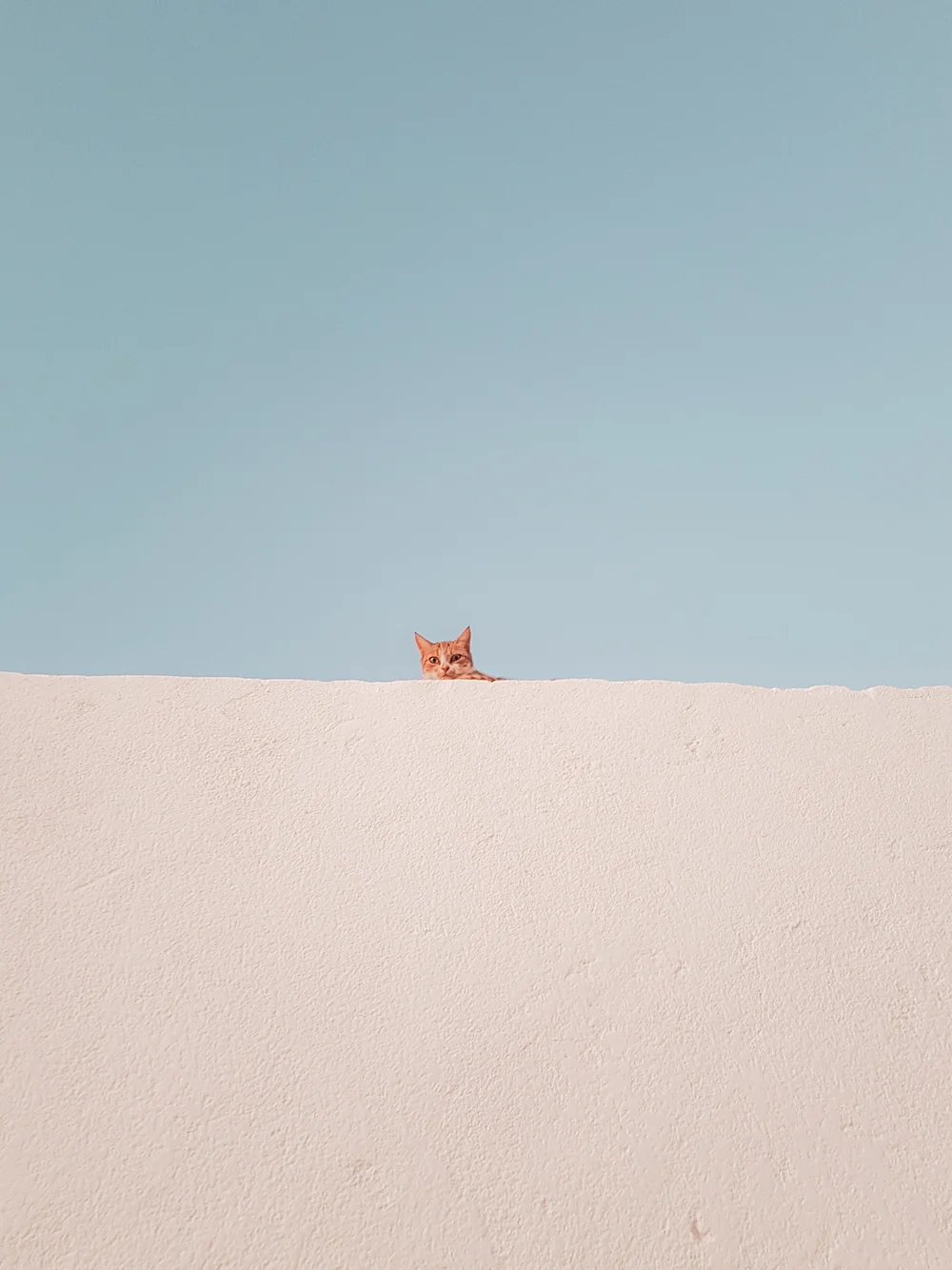A ginger cat peeking over a cream wall beneath a blue sky.