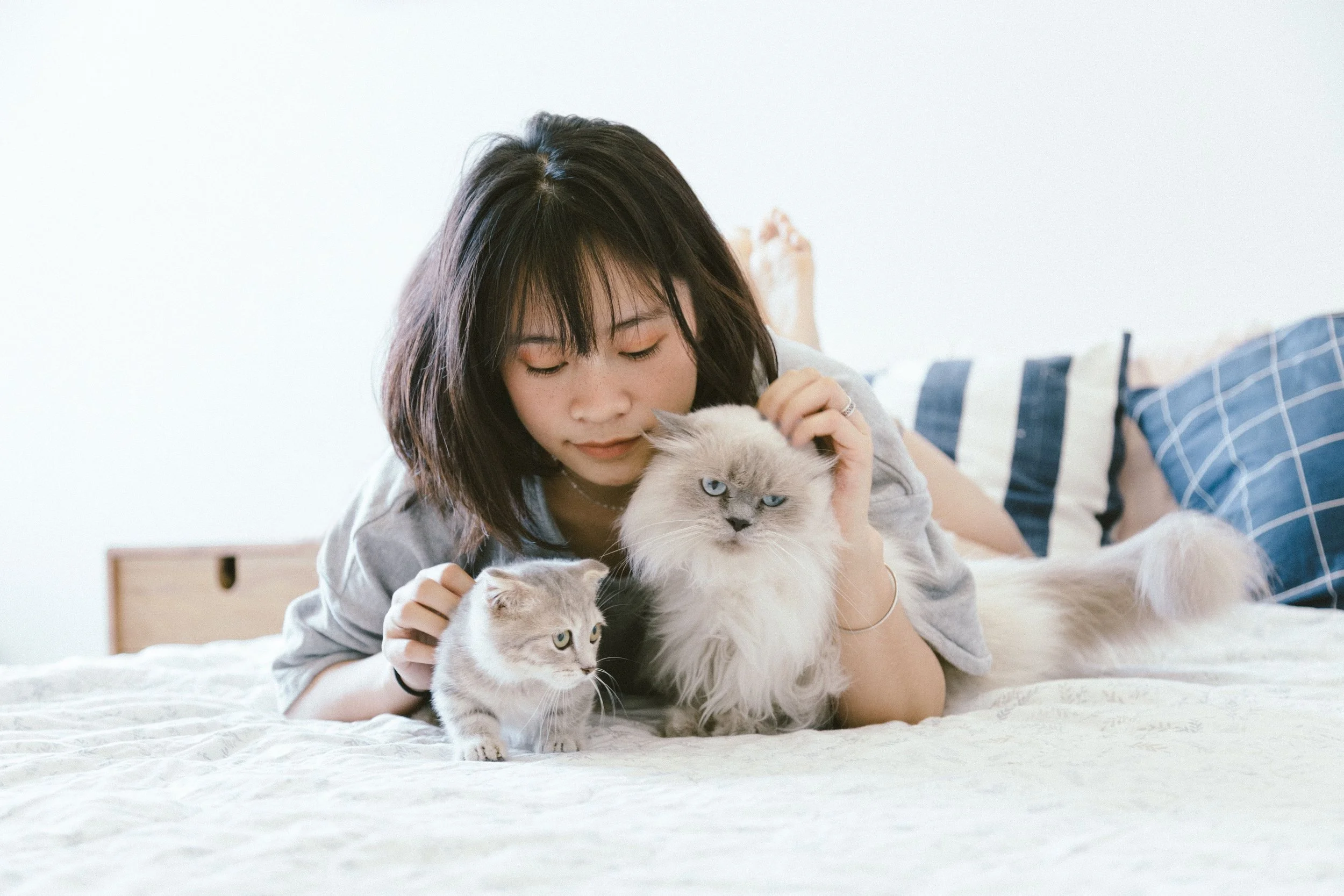Person spending time with cats