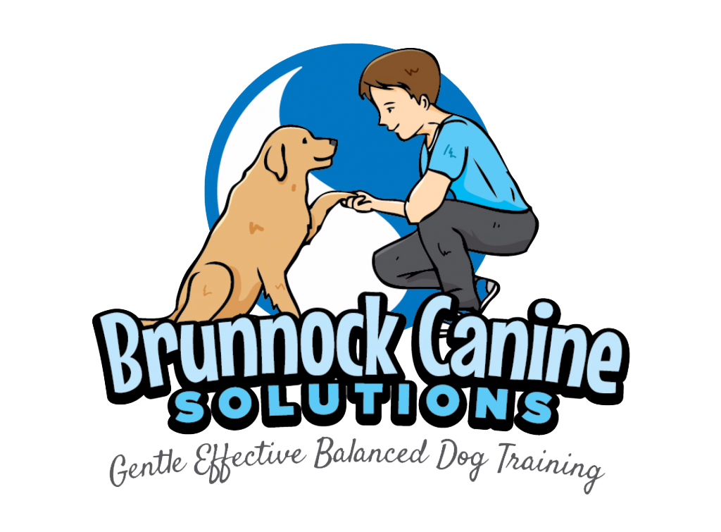 Brunnock Dog Training