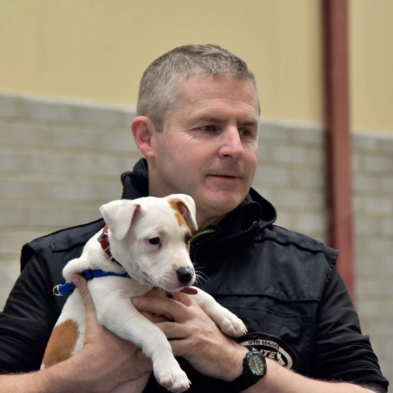 Dave Brunnock Puppy Training Limerick