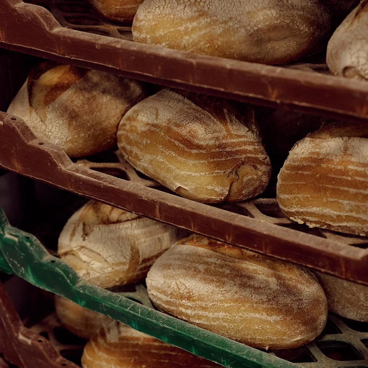 Close-up of bread loaves with a crusty, dusted appearance on a bakery rack.