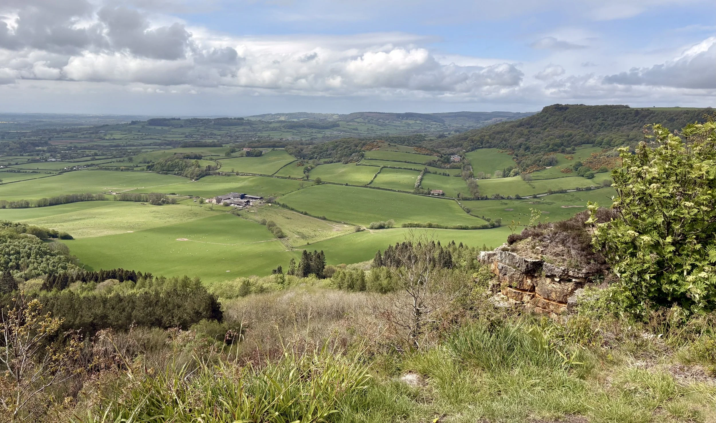 Landscape, Sutton Bank, North Yorks moors