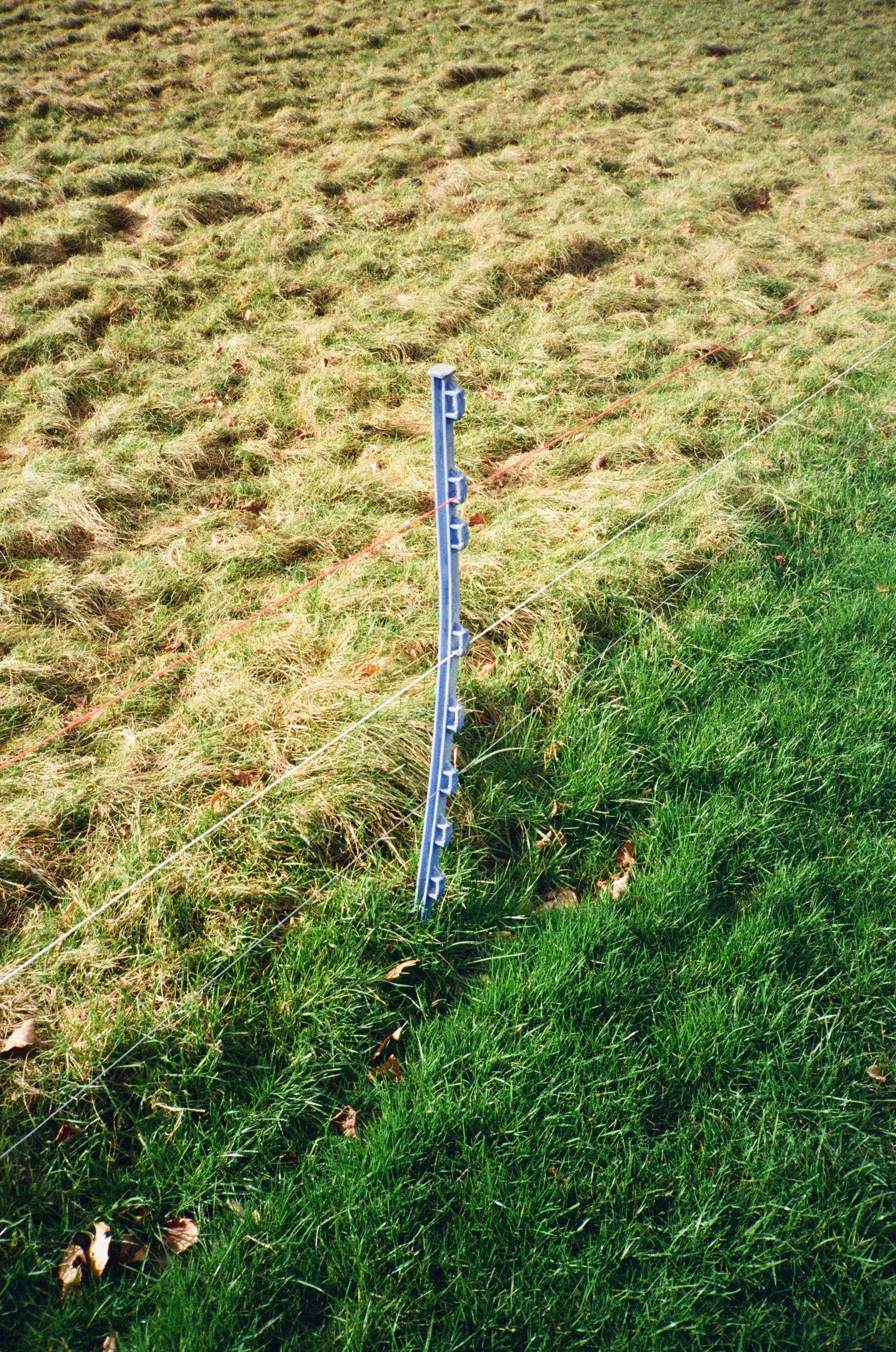 749411260007.jpg