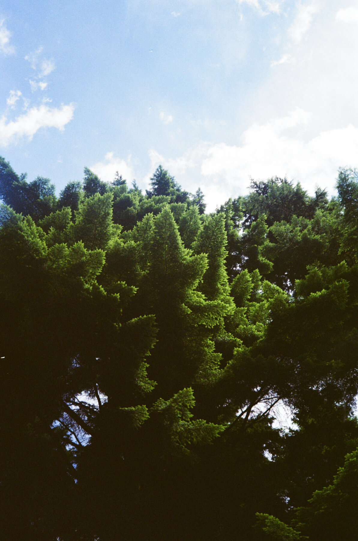 EastSussex6.jpg