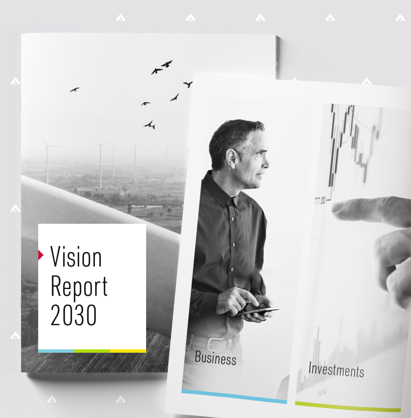 Brochure or report cover titled "Vision Report 2030" with images of birds flying in the sky, a man in a shirt holding a tablet, and a person pointing at a financial chart.
