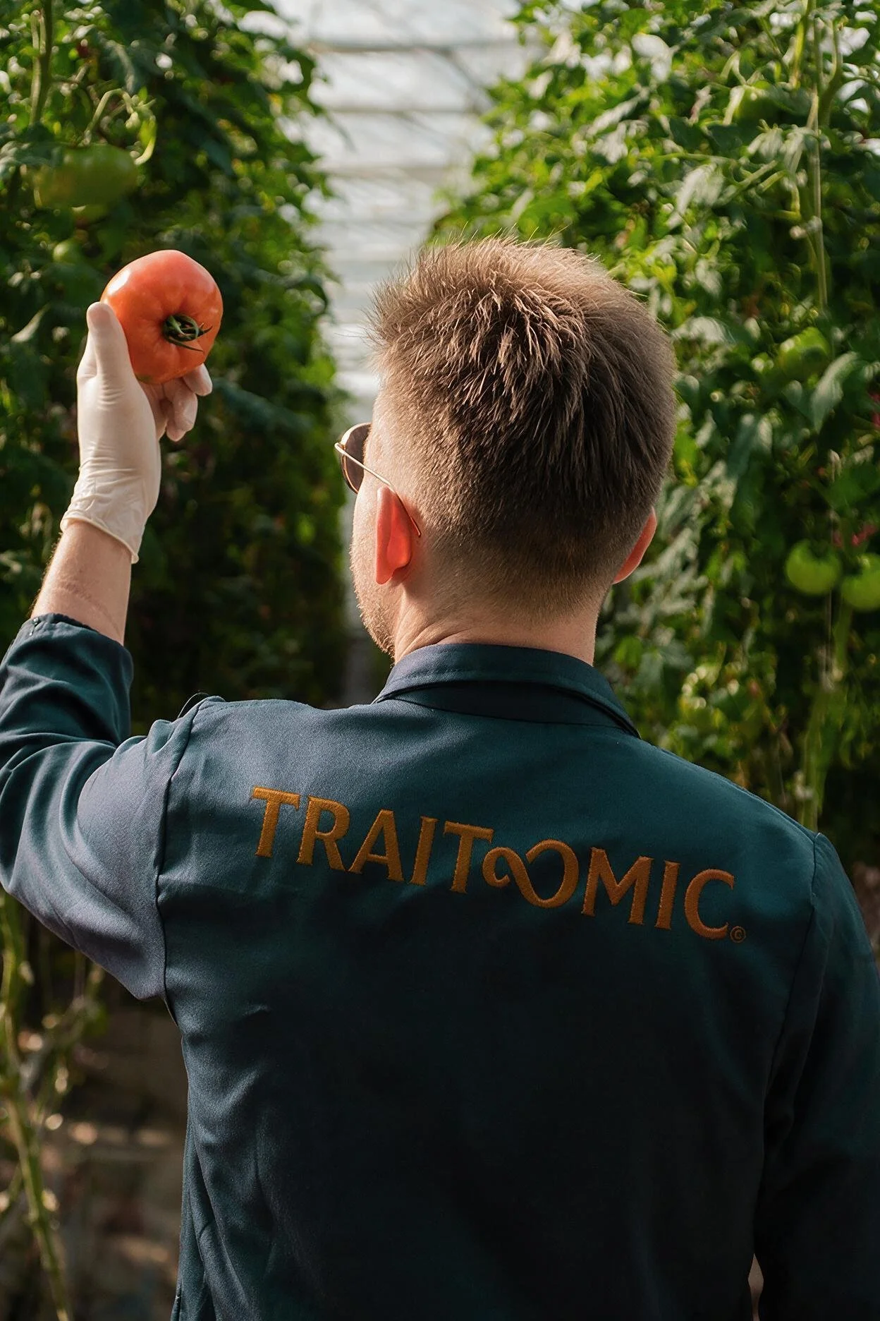 A person with short hair and glasses, wearing a dark jacket with the word 'MICROBIOLOGIST' on the back, is holding a ripe tomato in a greenhouse or farm setting surrounded by green plants.