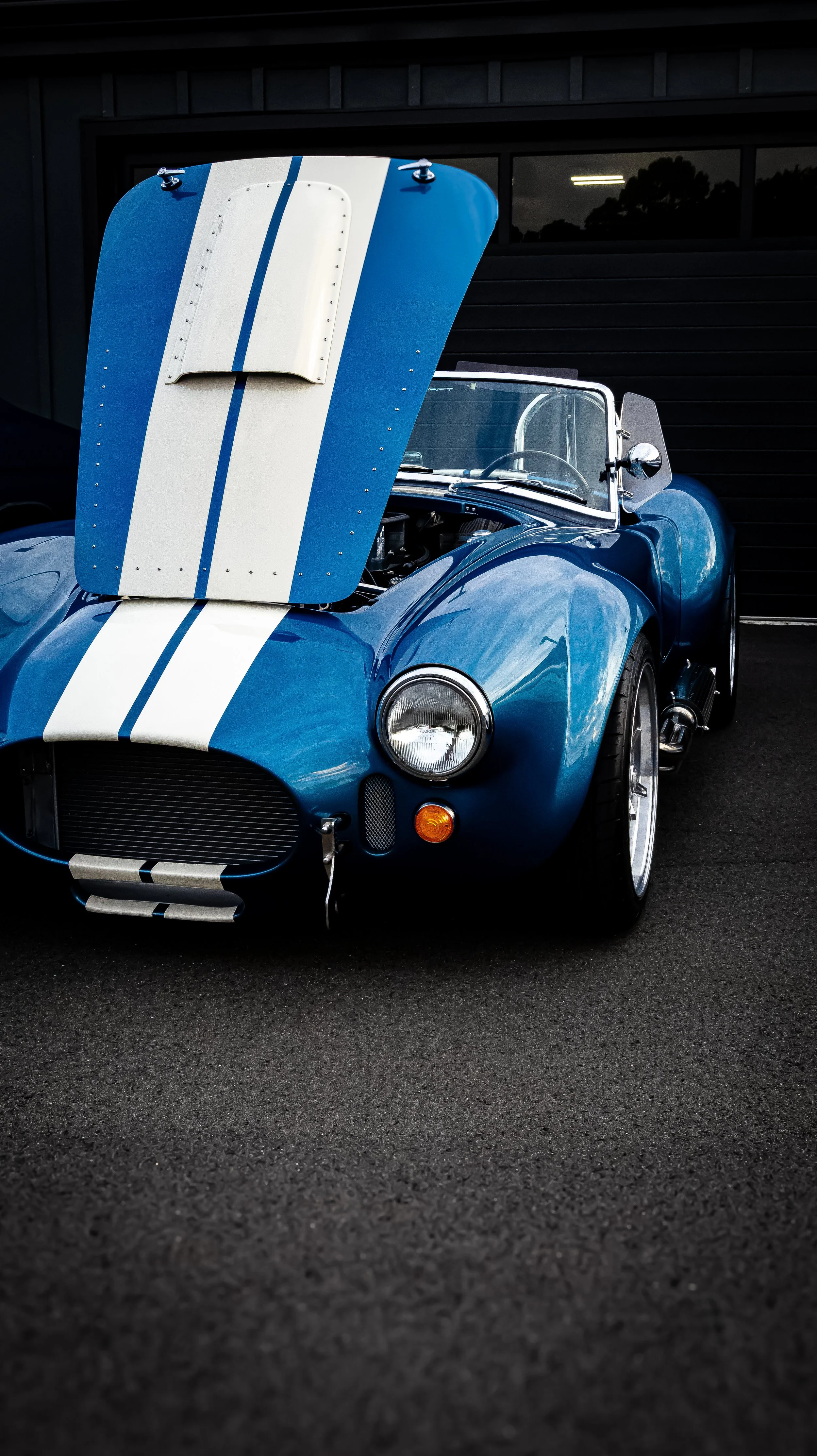 Shelby GT