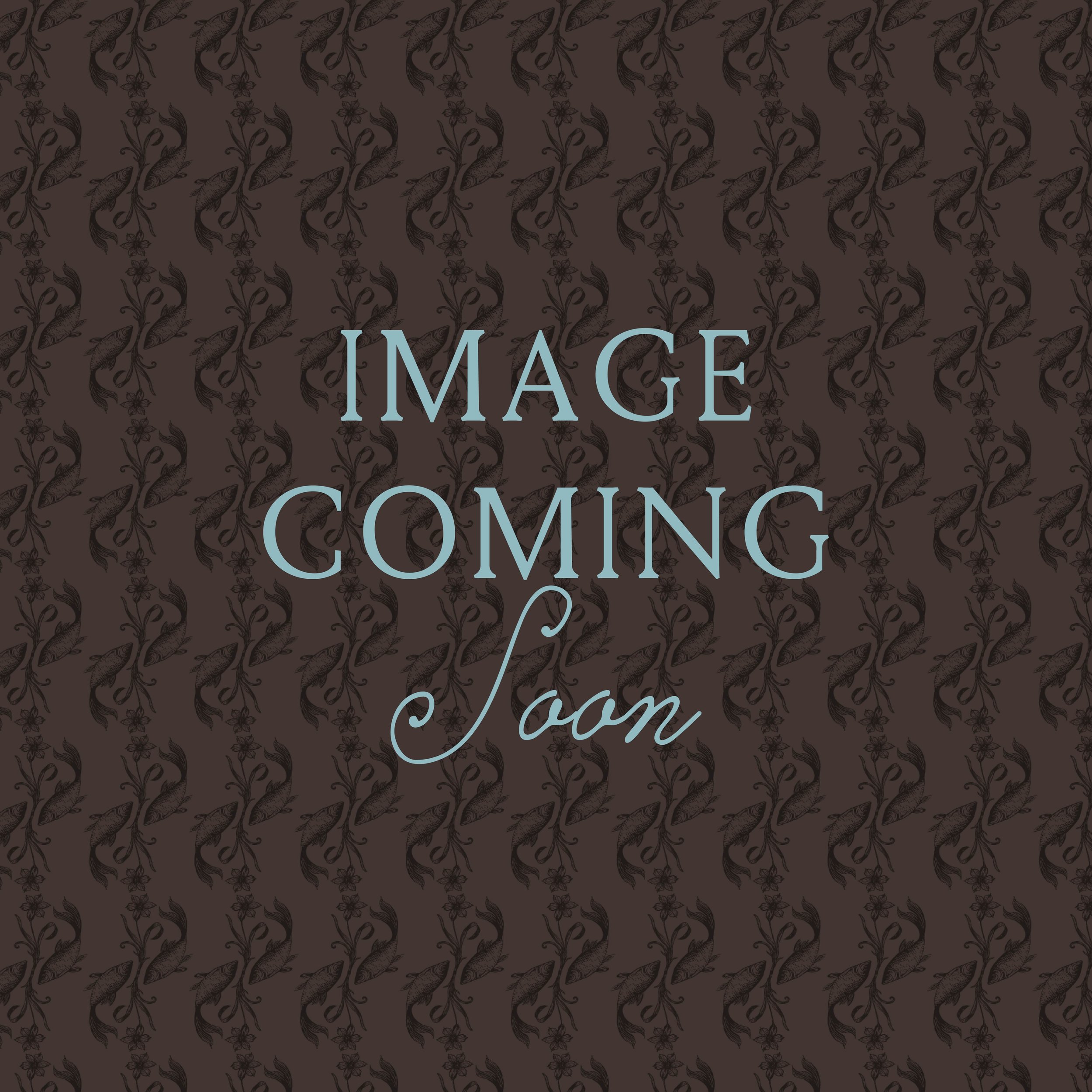 A dark patterned background with large light blue text that reads 'Image Coming Soon'.