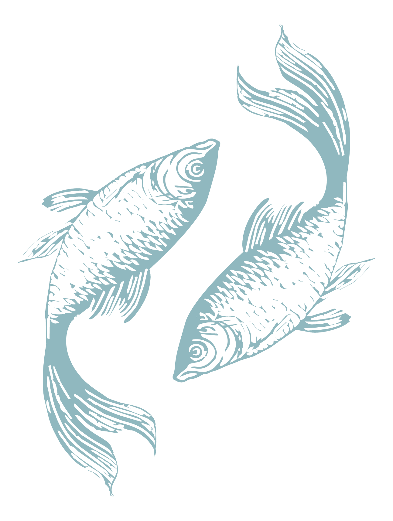 Custom hand-drawn fish illustration created by Merci Studio for event branding.