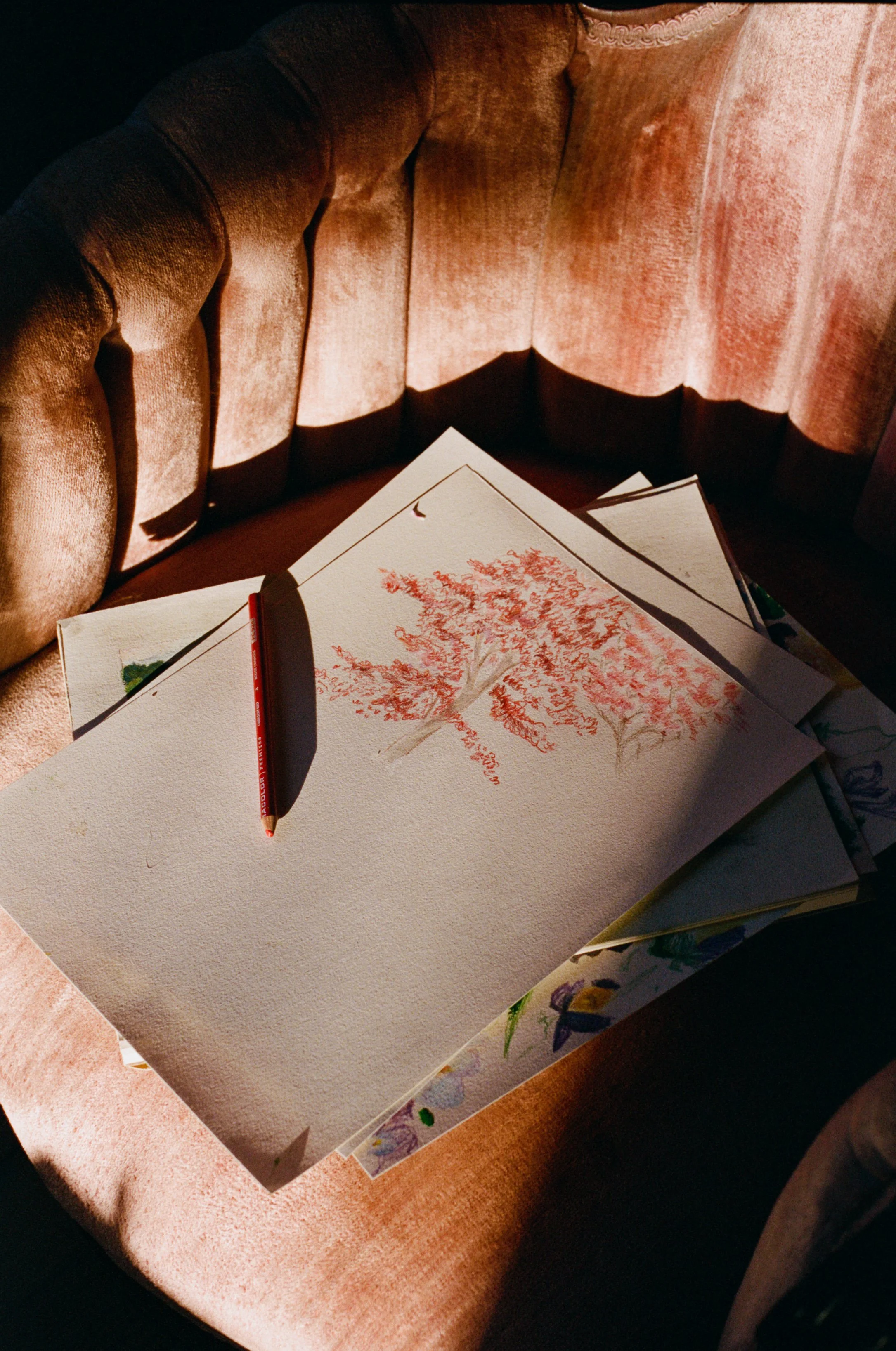 Hand-drawn botanical artwork in progress at Merci Studio.