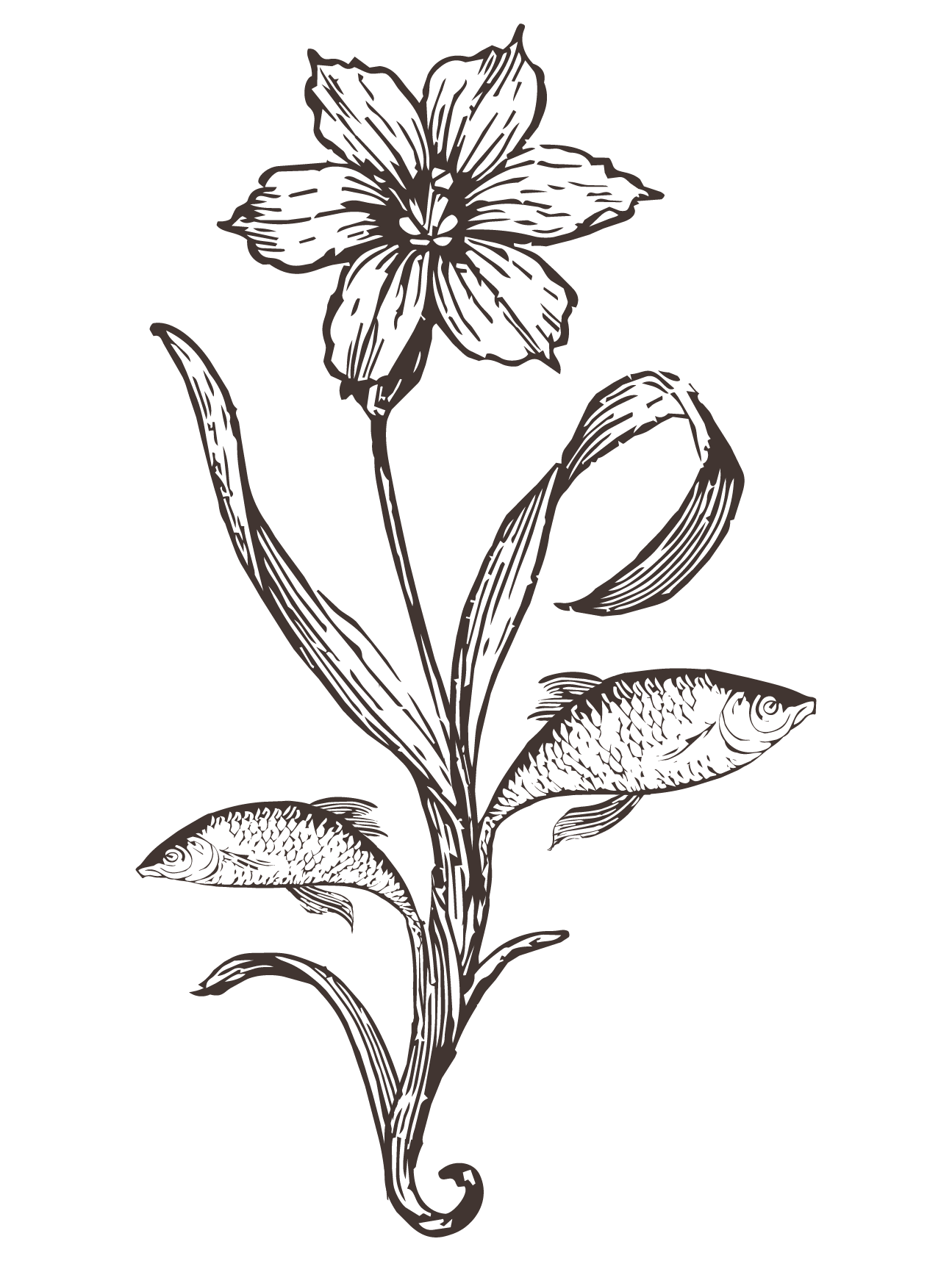 Custom fish and botanical illustration created by Merci Studio for bespoke event branding.