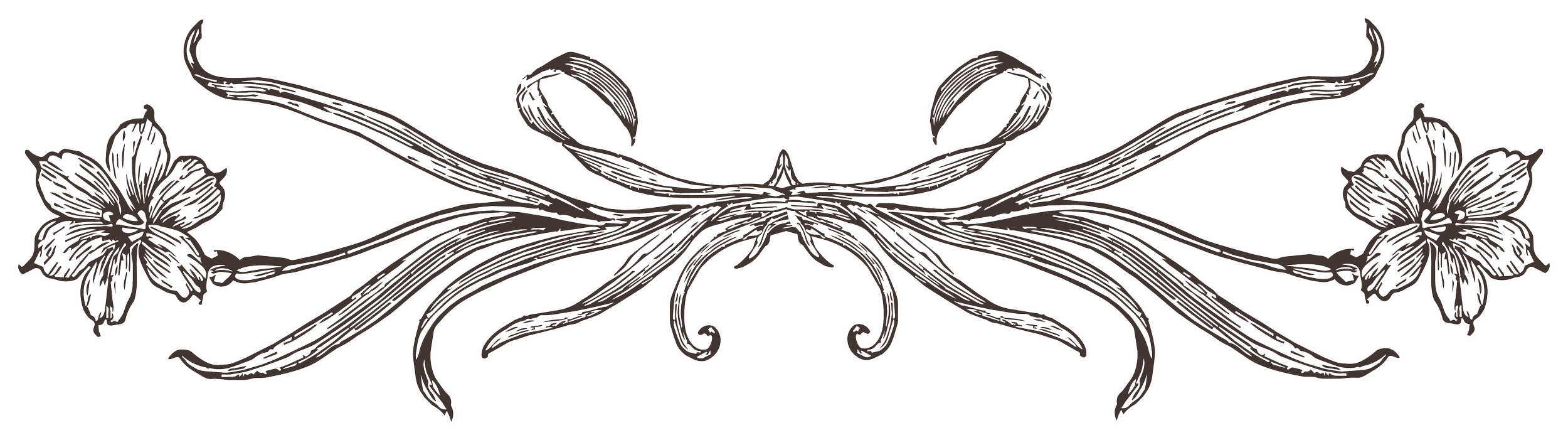 Custom hand-drawn floral ornament created by Merci Studio for bespoke stationery and event branding.