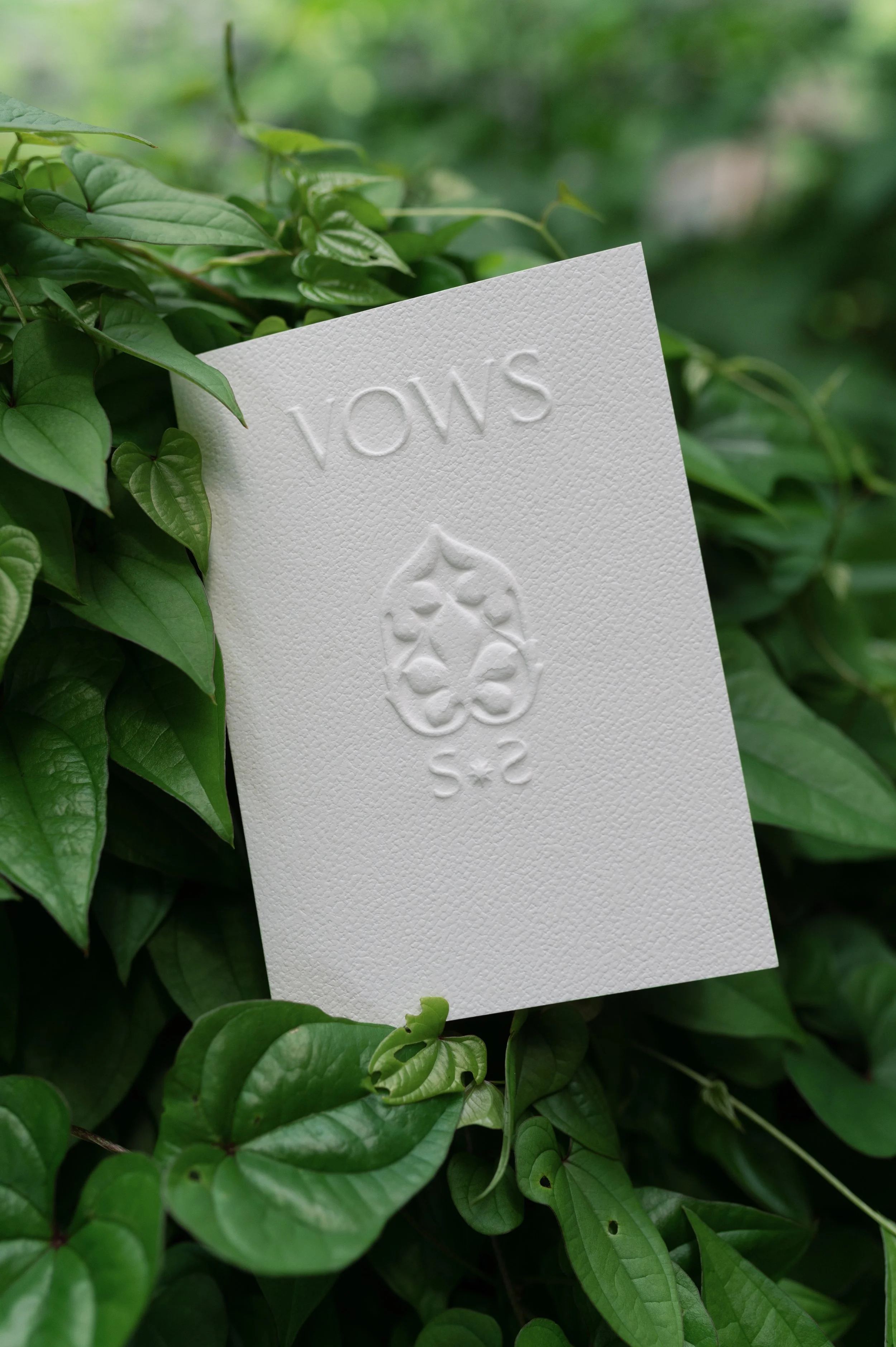 A white textured paper with the embossed word 'mows' and a logo, placed amongst green leaves.