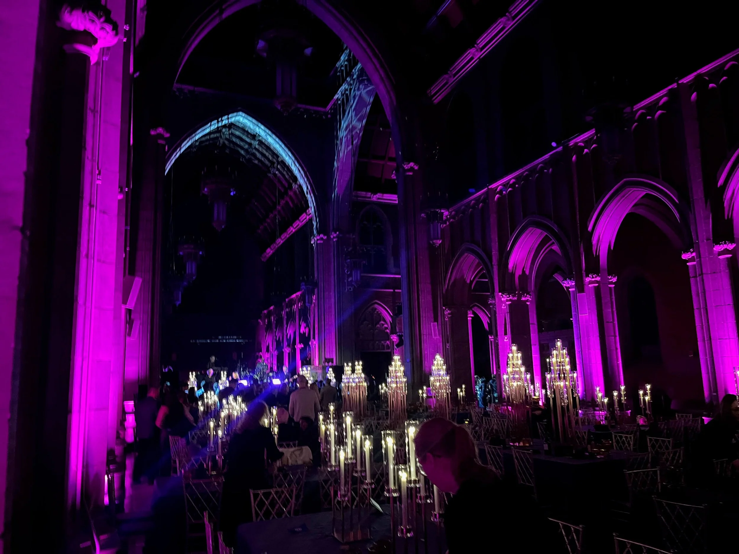 Pittsburgh Uplighting - Uplighting Examples - 47.jpeg