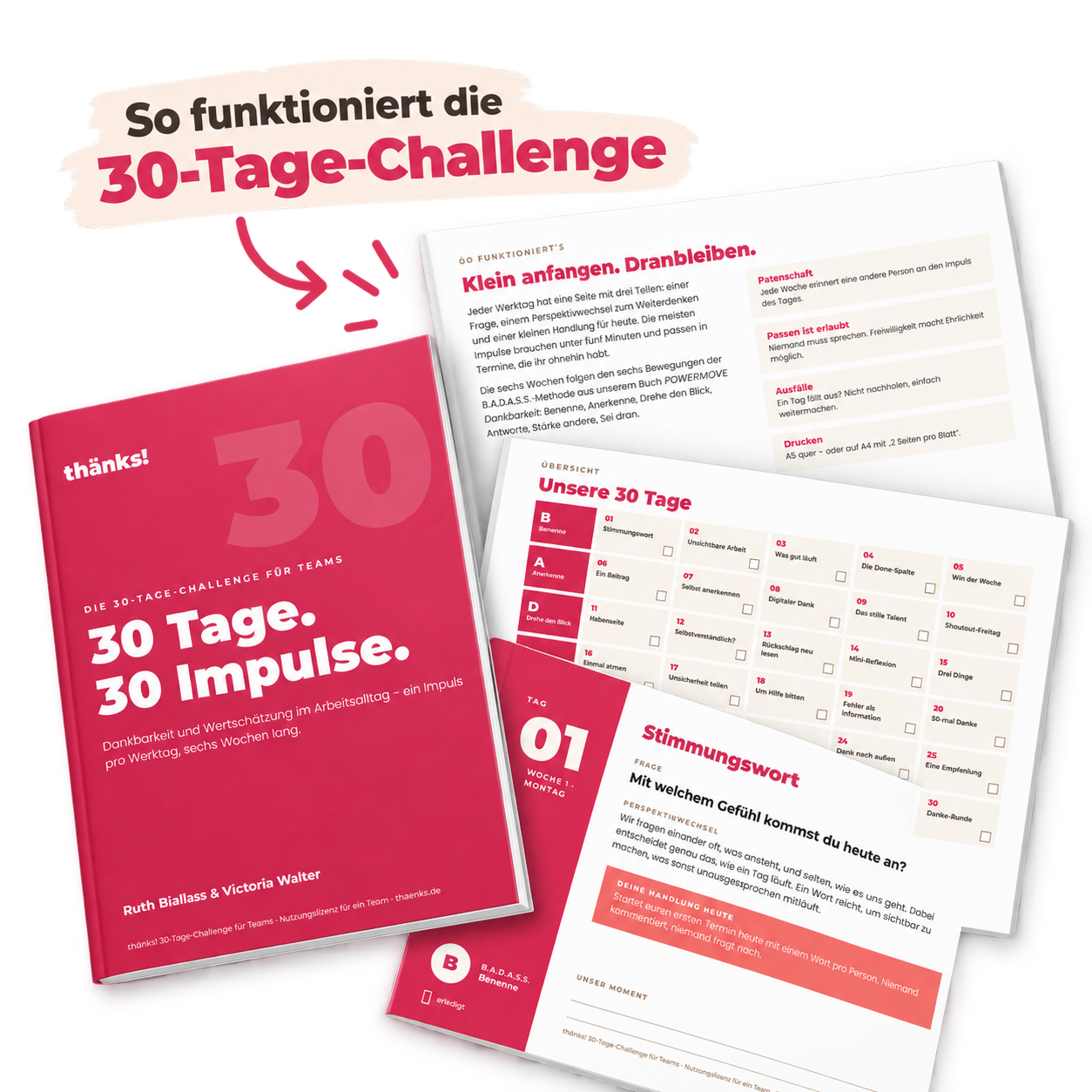 30Tage-Insights.png