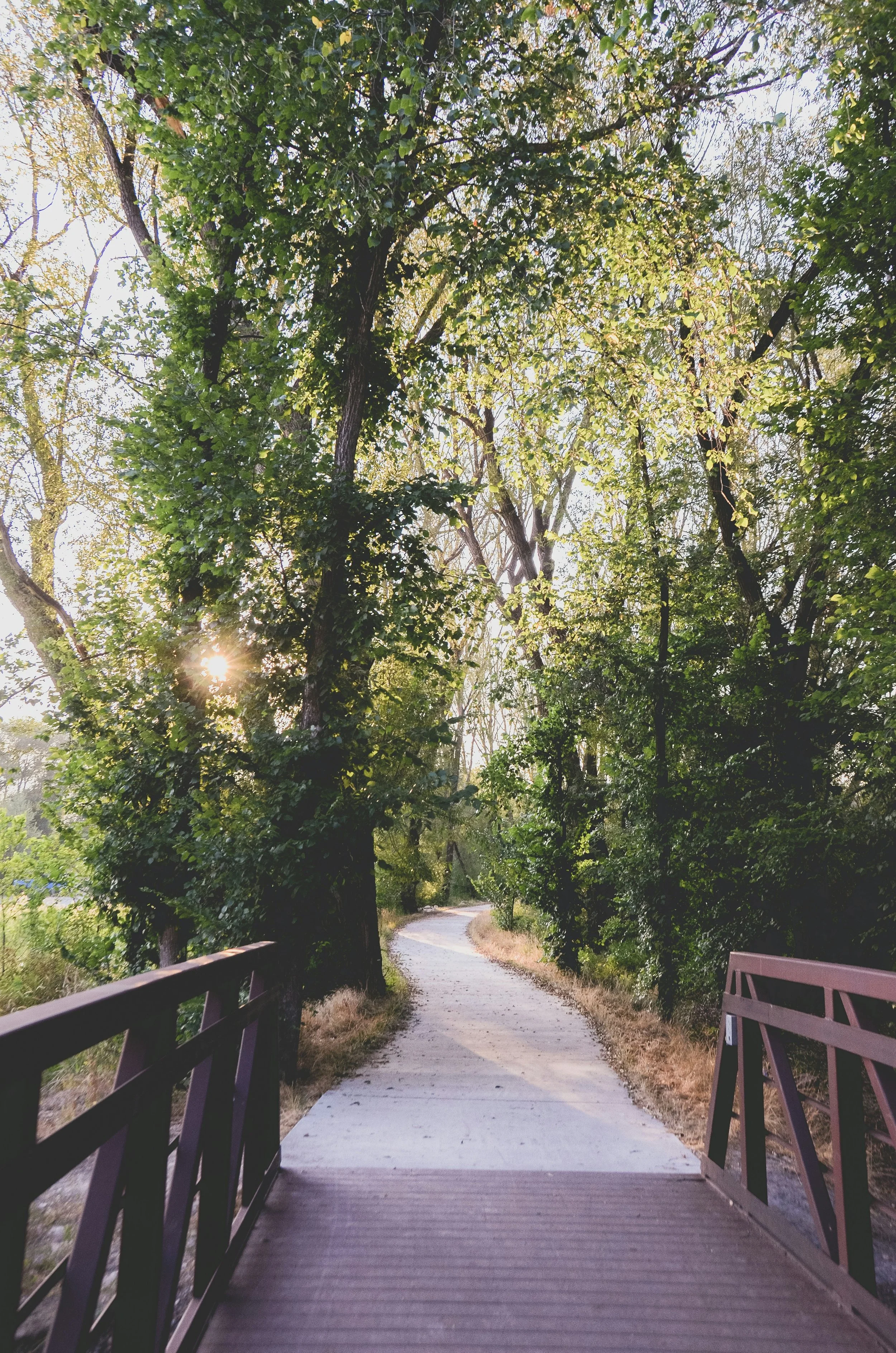 A wooden bridge over a dirt path in a wooded area with tall trees on either side, sunlight filtering through the leaves.