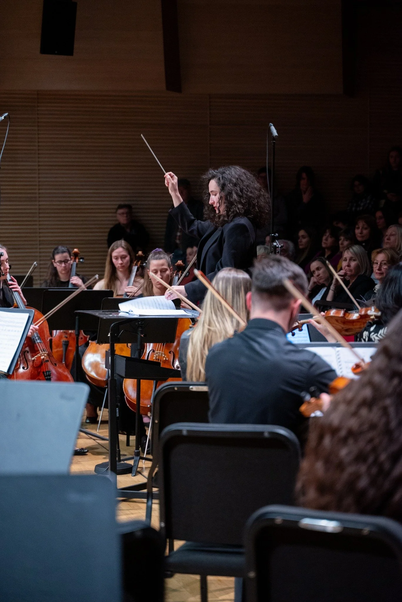 Zagreb Music Academy Orchestra, 2024, Photography by Magda Galić