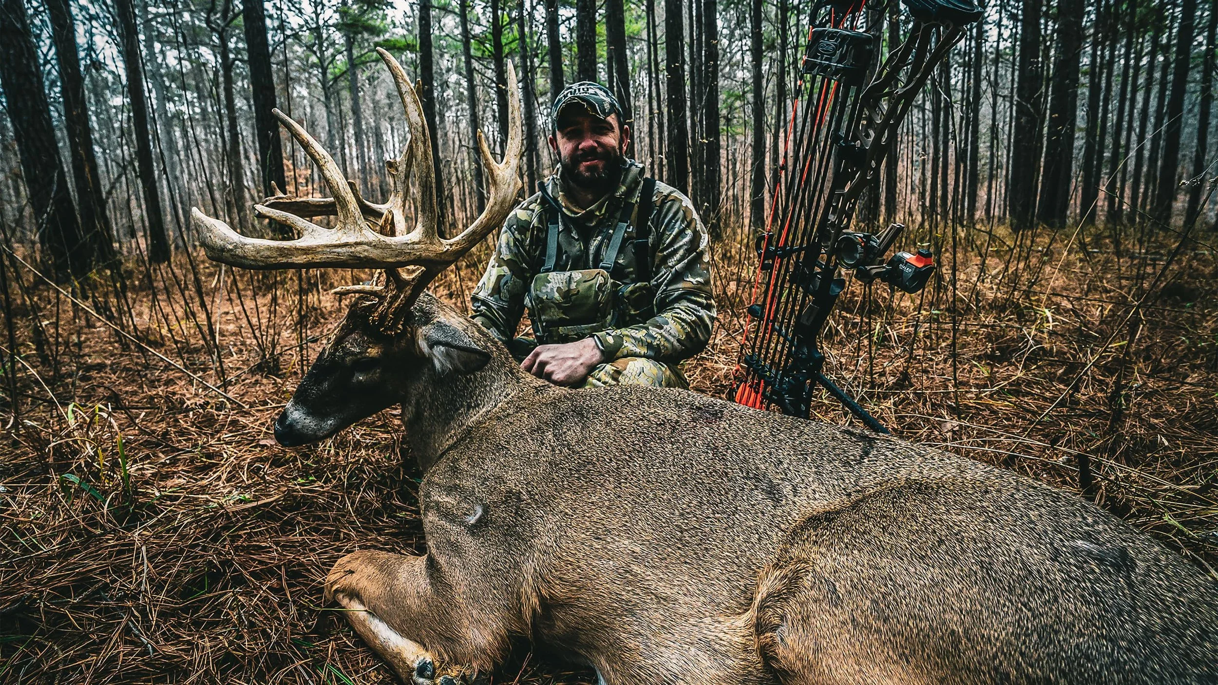 Bow hunter sitting over large whitetail deer