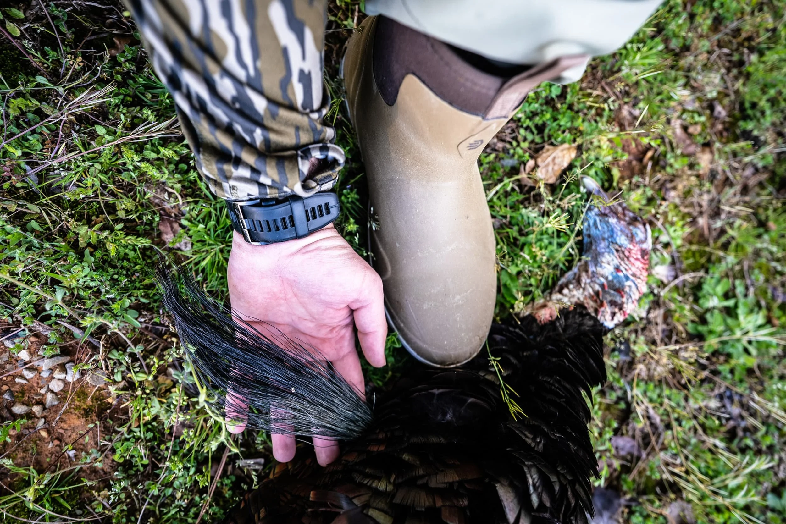A person wearing camouflage pants, a black watch, and tan boots standing in a grassy outdoor area, touching the black feathers of a large bird.