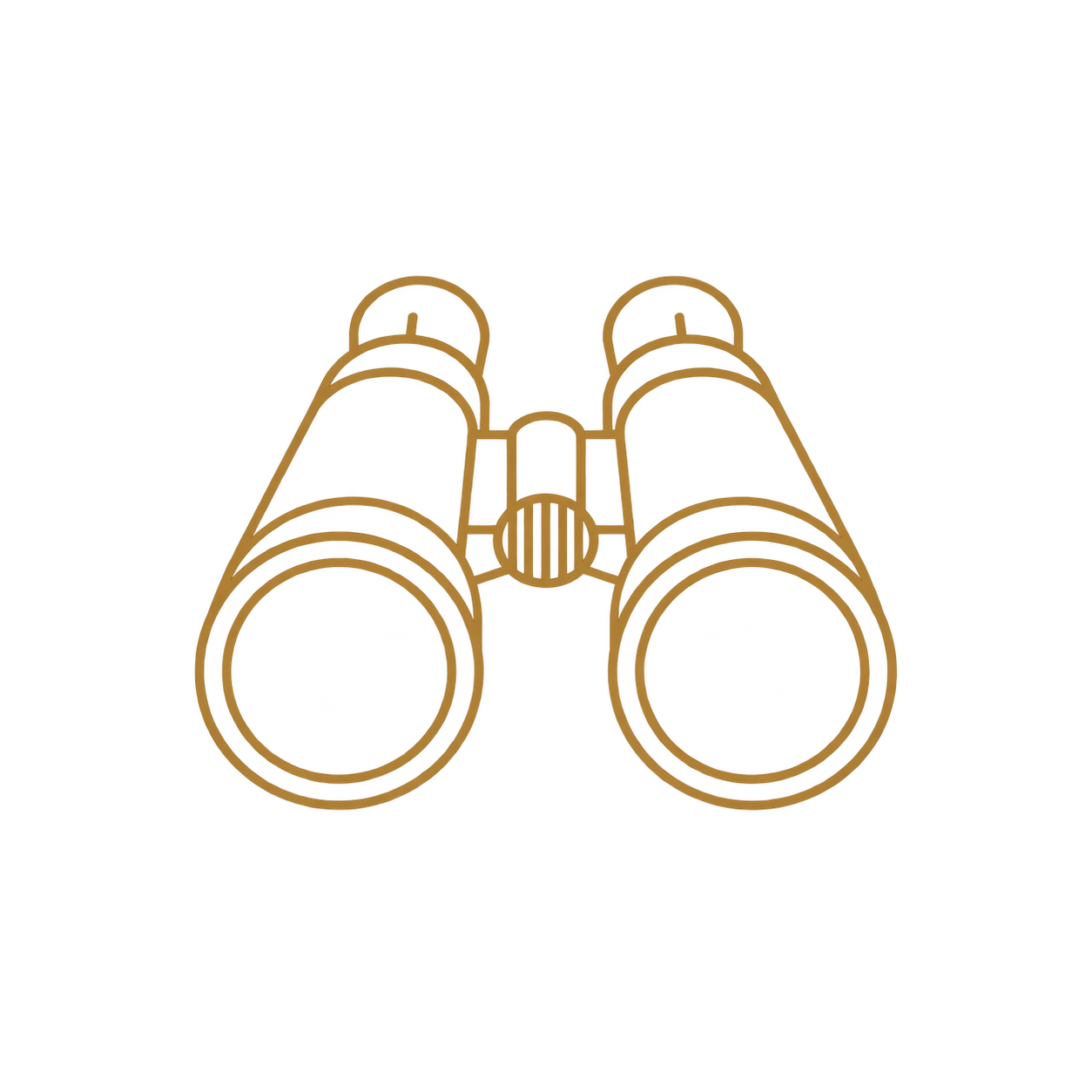 binoculars icon