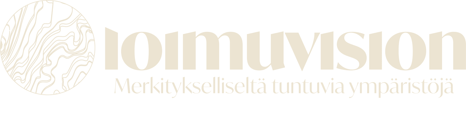 LoimuVision