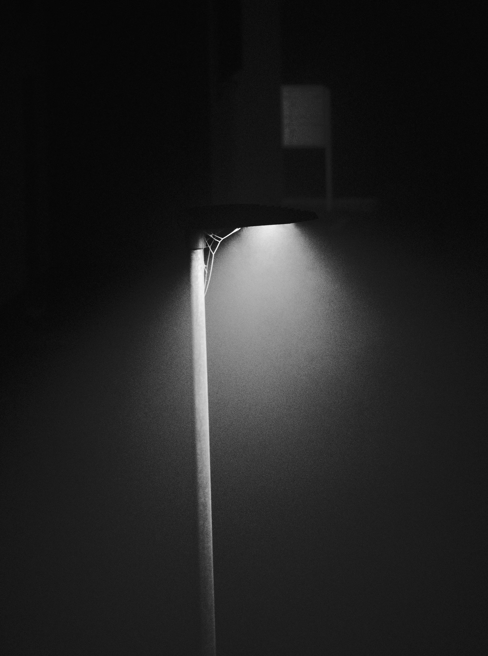 DSC00217.jpg
