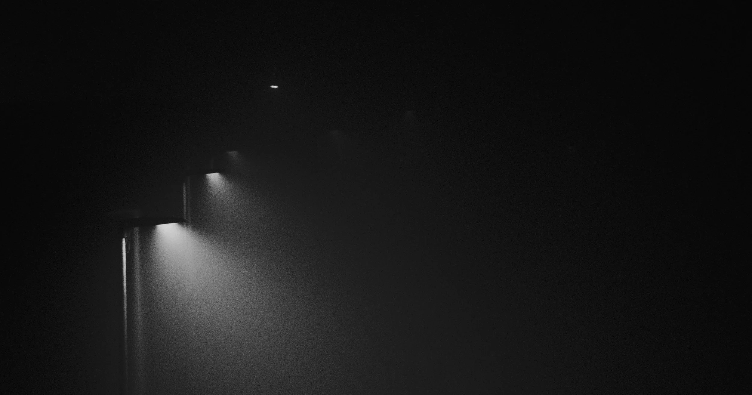 DSC00221.jpg