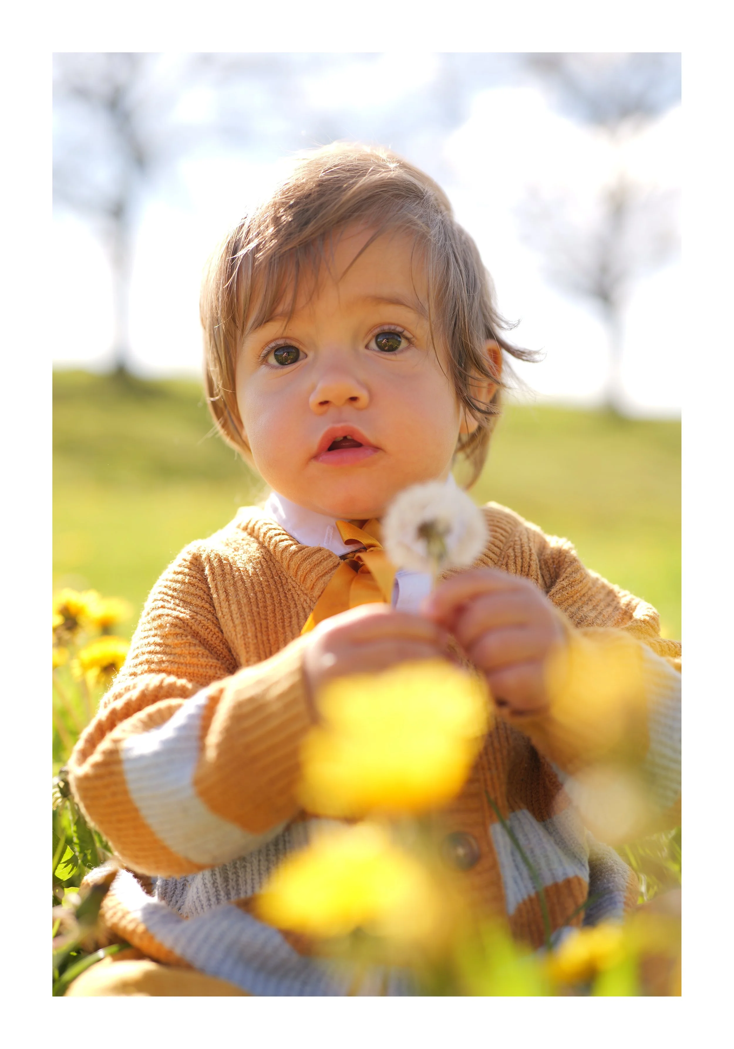 Un jeune enfant tient une fleur de pissenlit dans un champ avec des arbres en arrière-plan, en plein jour avec un ciel clair.