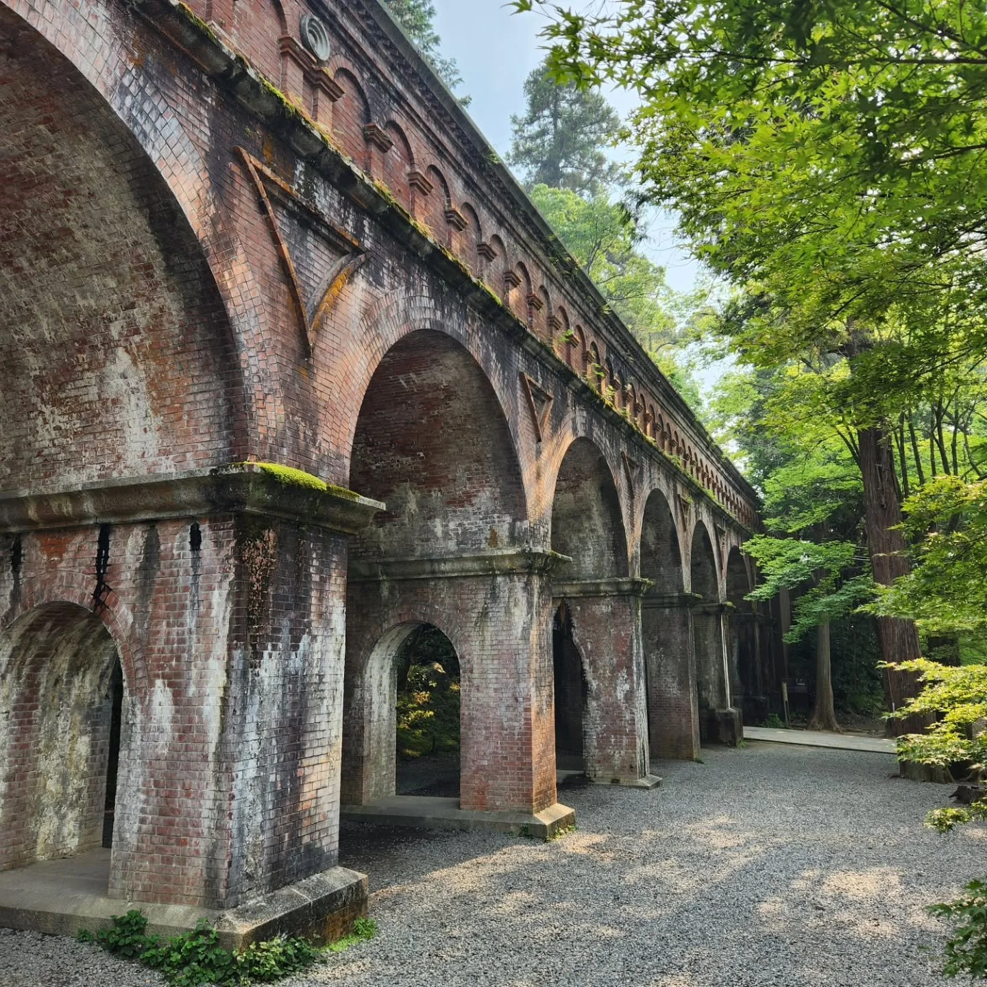 Old brick arch bridge in a forested area, surrounded by green trees with sunlight filtering through the leaves.